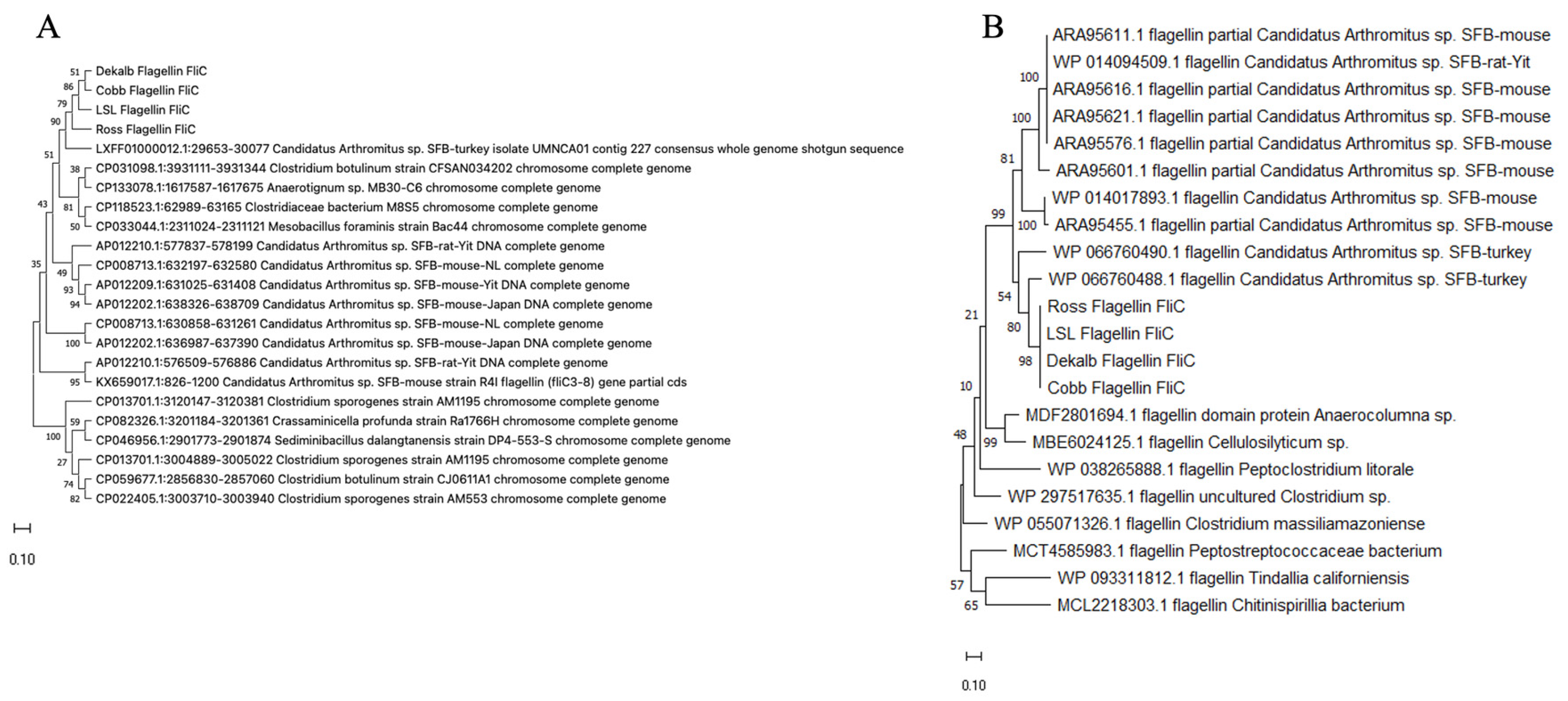 Microorganisms 14 00341 g007 Microorganisms 14 00341 g007
