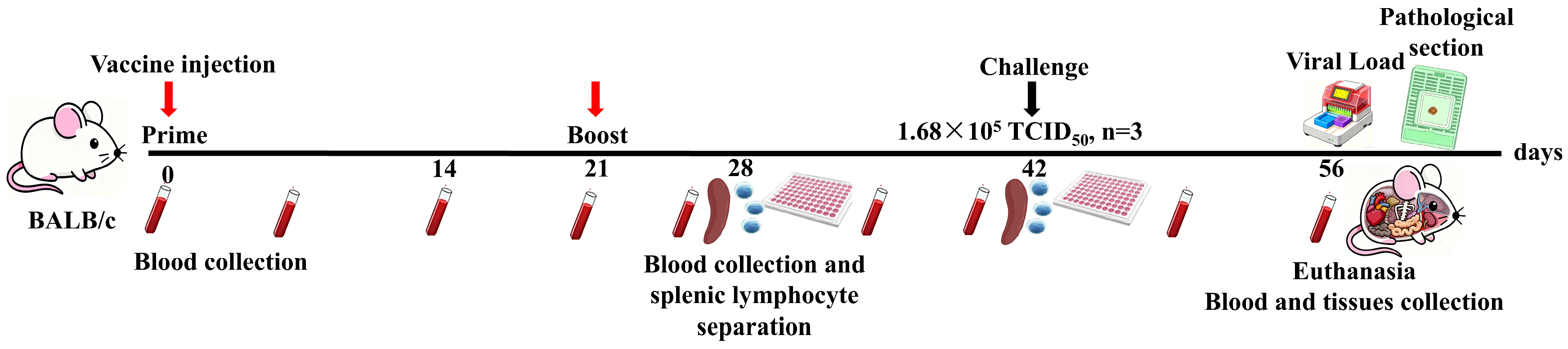 Microorganisms 14 00378 g001