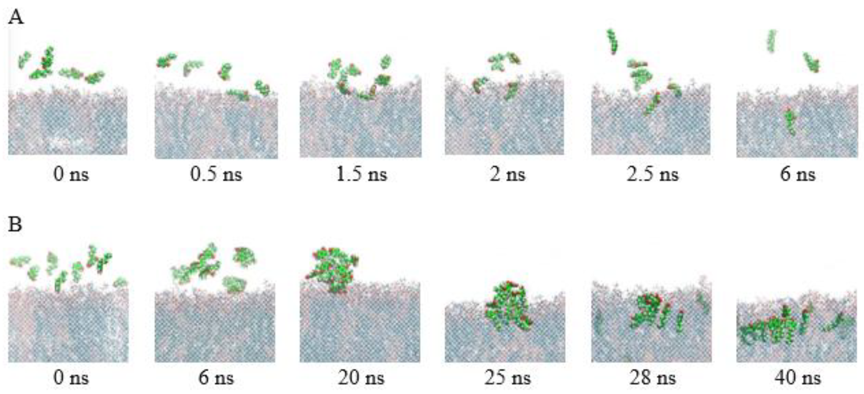 Microorganisms 14 00472 g004 Microorganisms 14 00472 g004