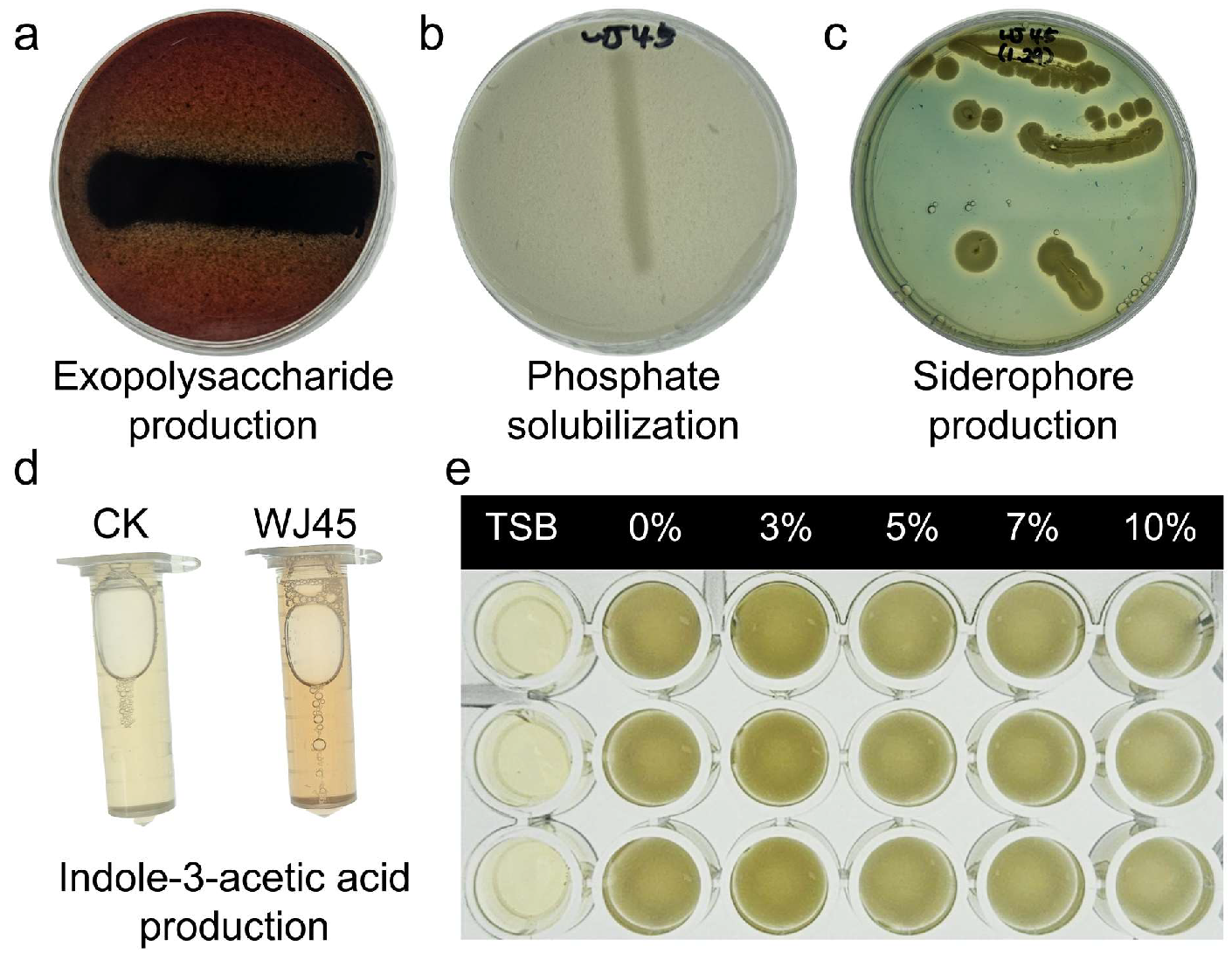 Microorganisms 14 00605 g001 Microorganisms 14 00605 g001
