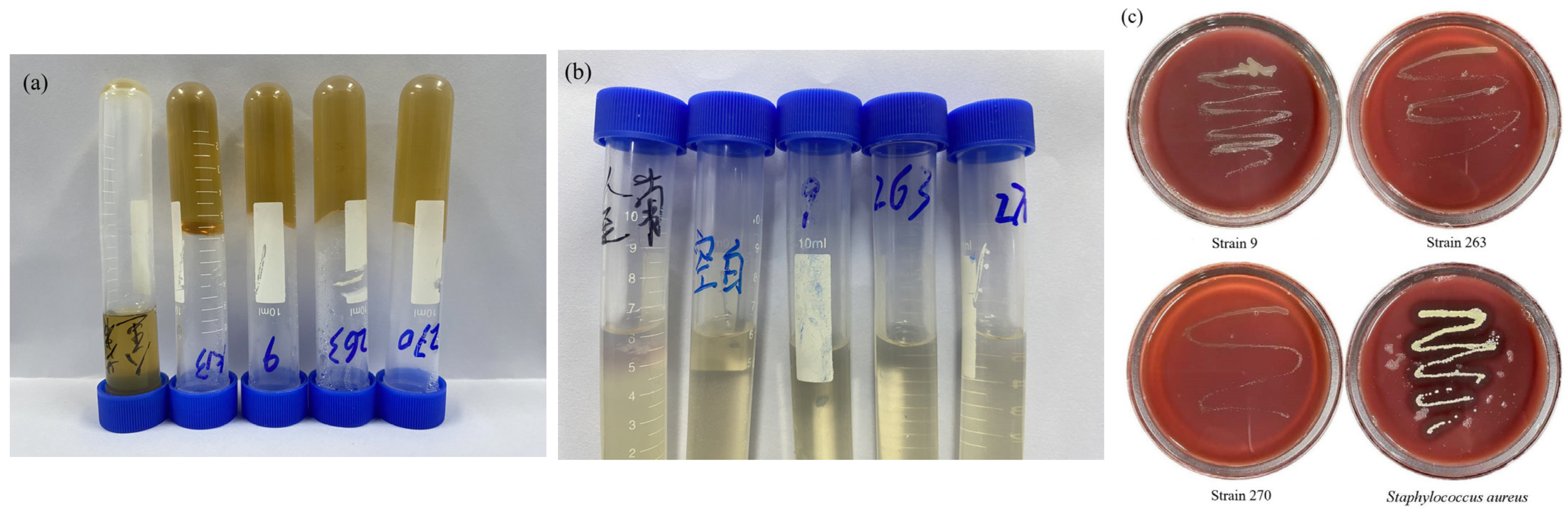 Microorganisms 14 00630 g002