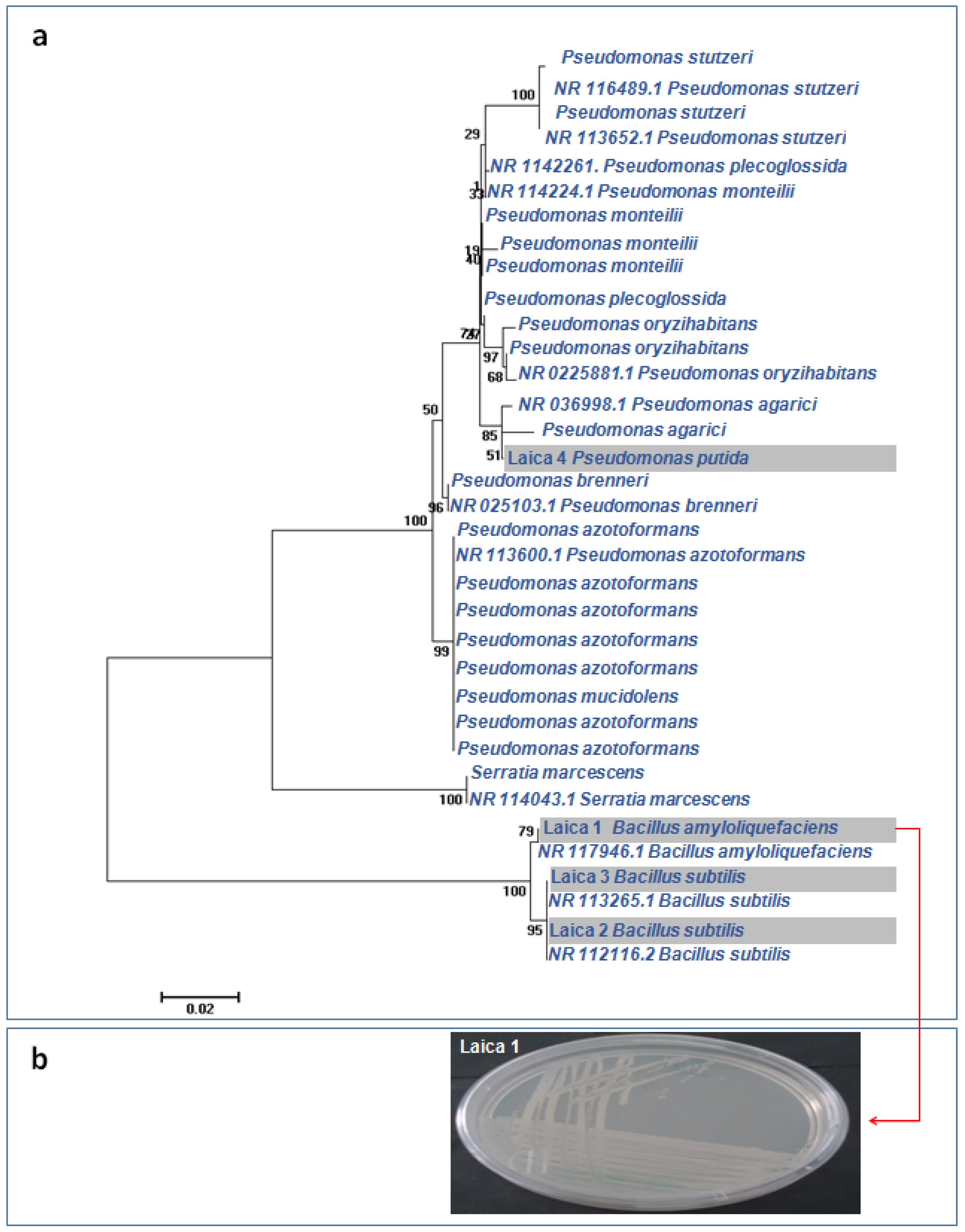 Microorganisms 14 00644 g001