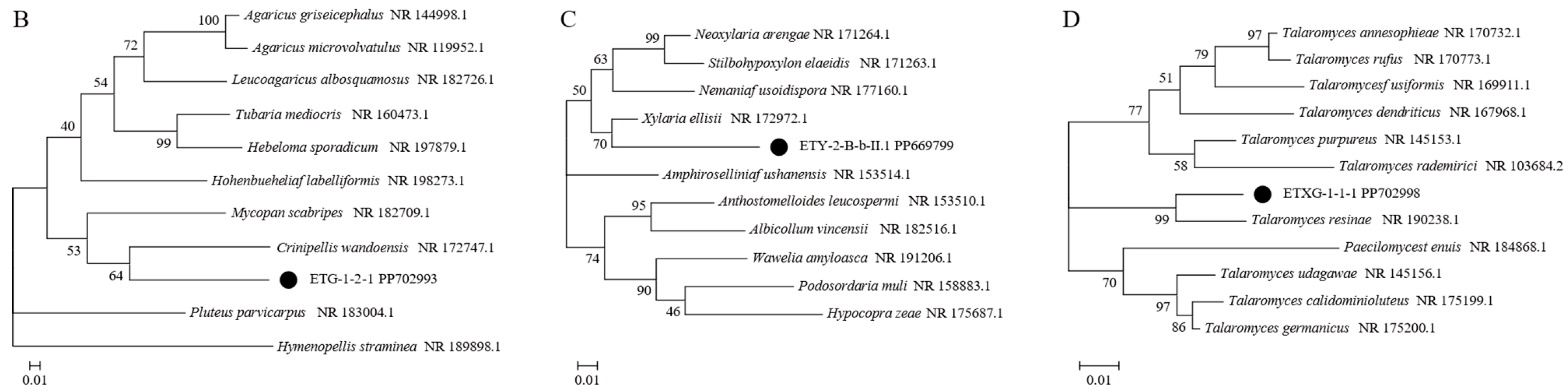 Microorganisms 14 00664 g001b Microorganisms 14 00664 g001b