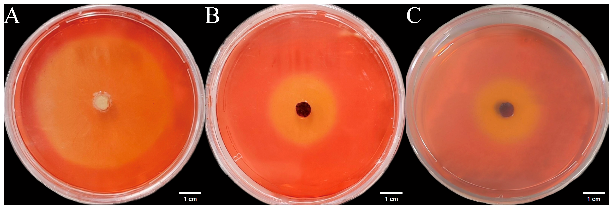 Microorganisms 14 00664 g011 Microorganisms 14 00664 g011