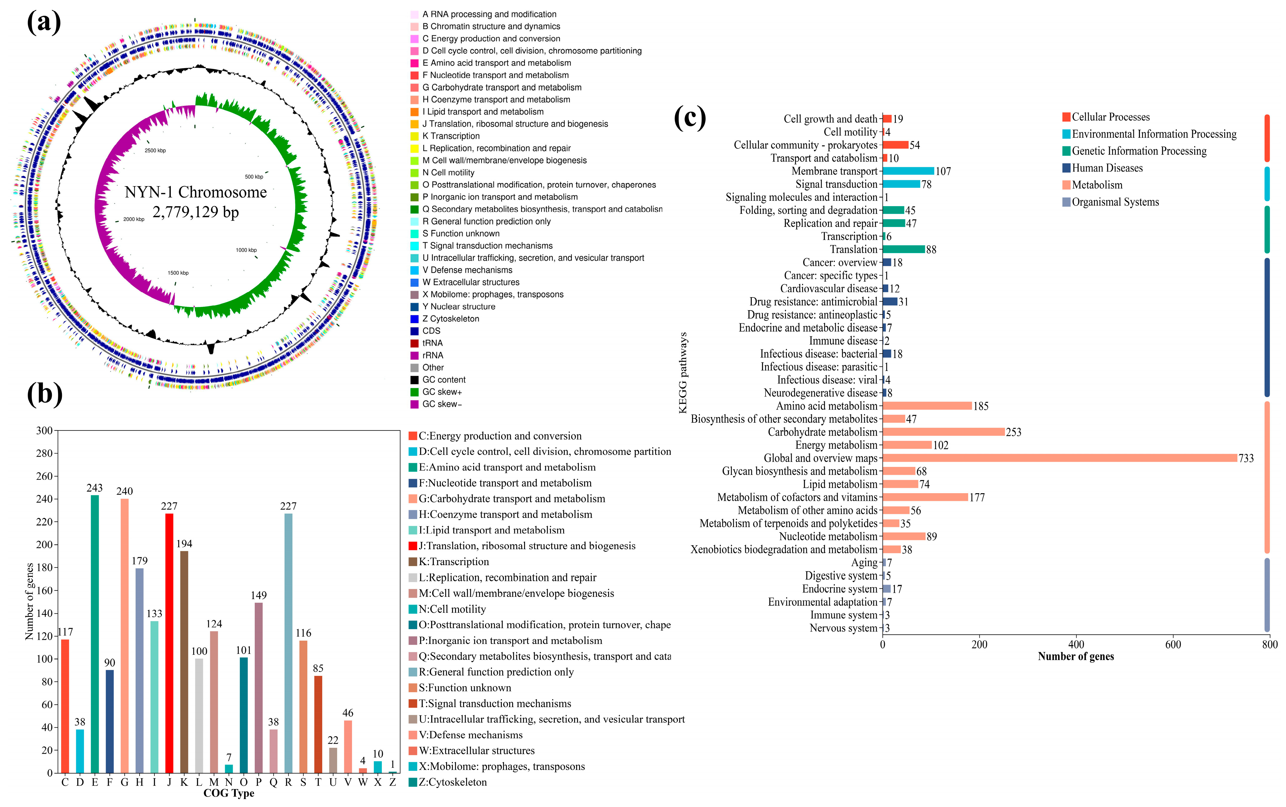 Microorganisms 14 00680 g004