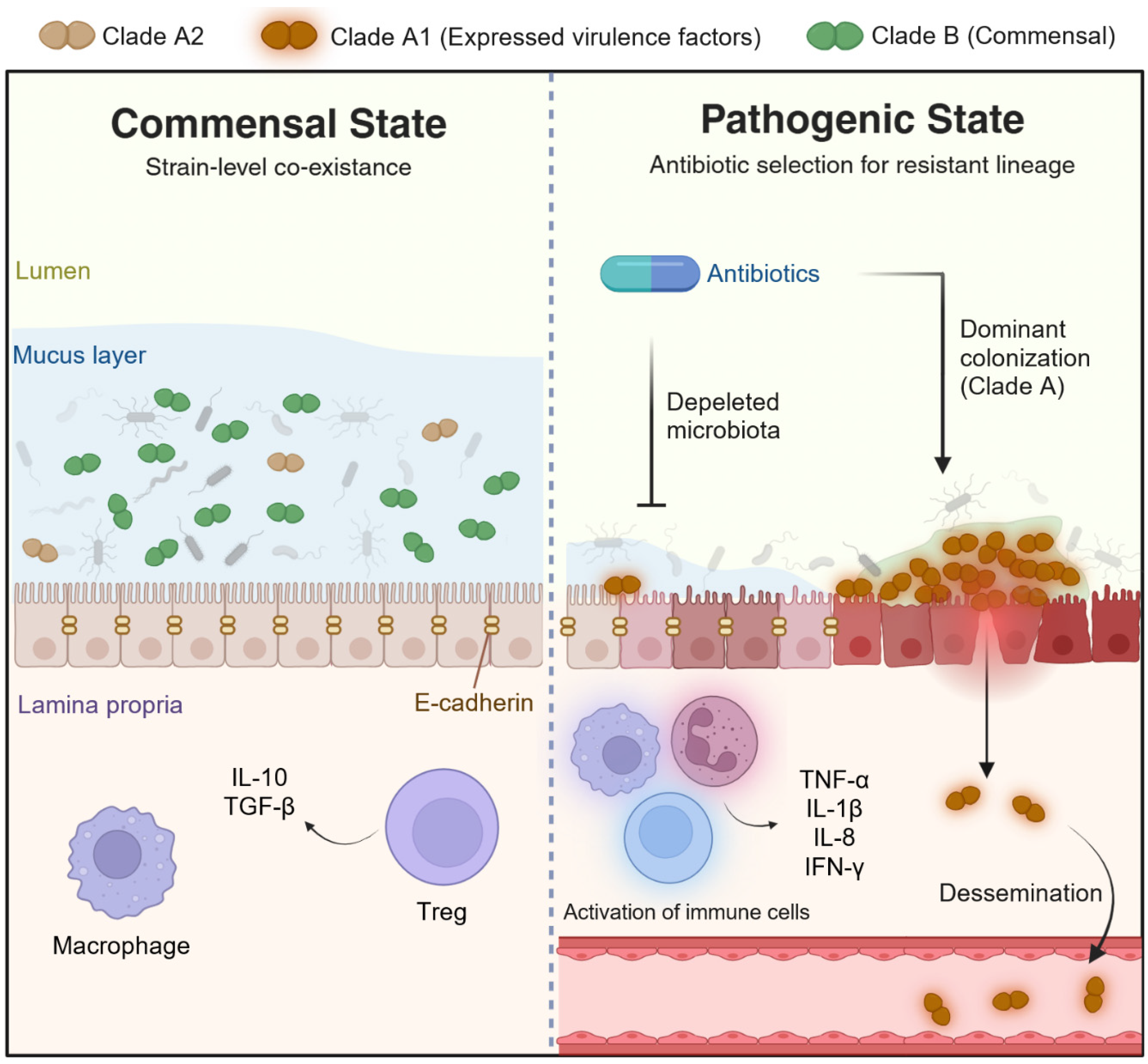 Microorganisms 14 00720 g002 Microorganisms 14 00720 g002