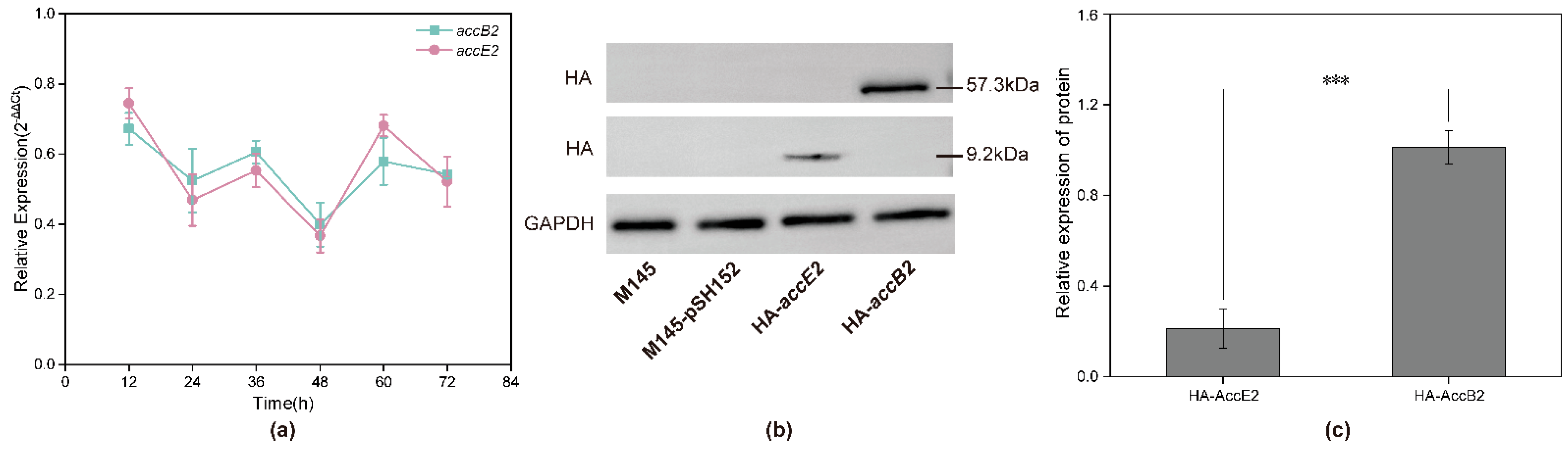 Microorganisms 14 00733 g002 Microorganisms 14 00733 g002