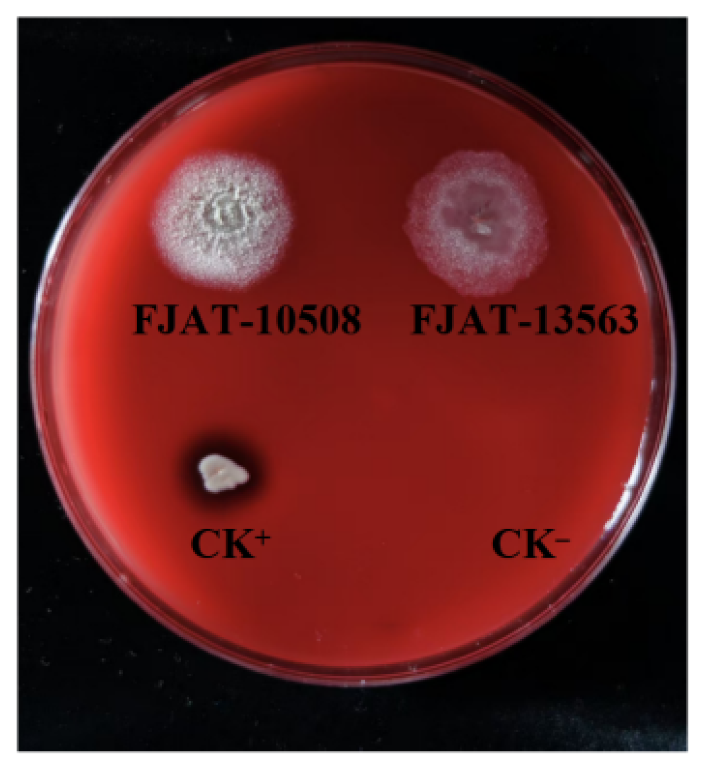 Microorganisms 14 00834 g007 Microorganisms 14 00834 g007