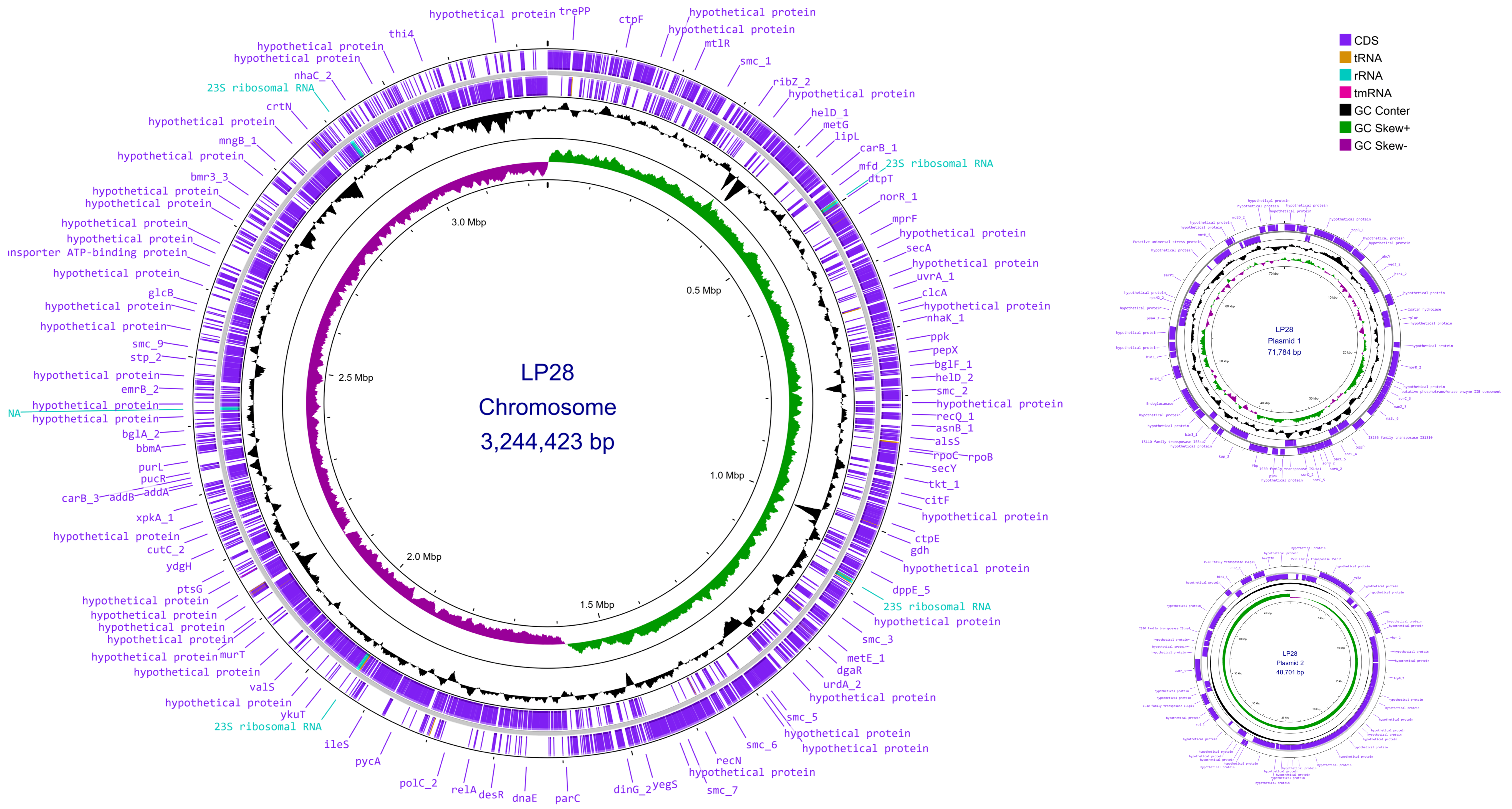 Microorganisms 14 00843 g001 Microorganisms 14 00843 g001
