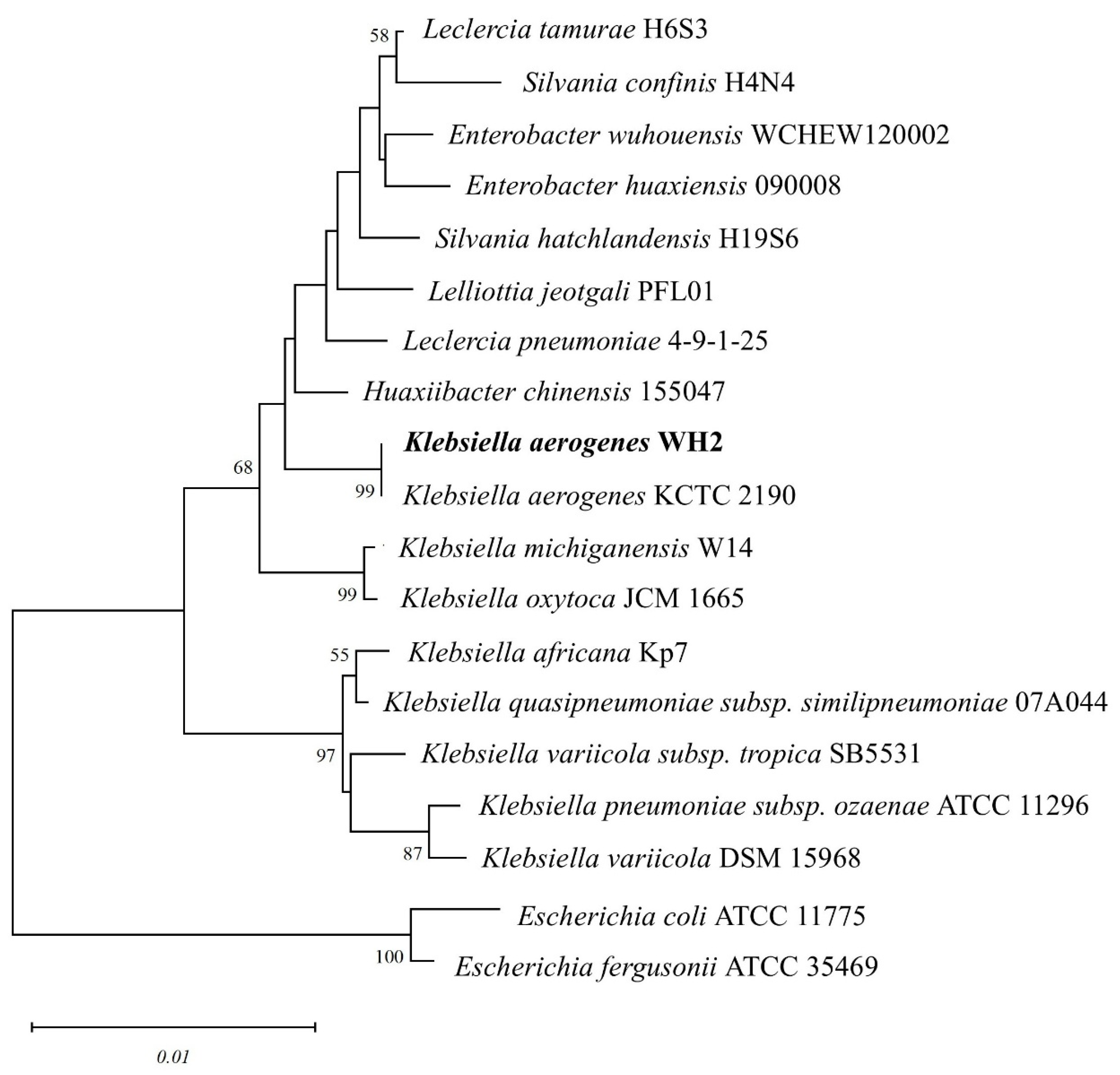 Microorganisms 14 00864 g001 Microorganisms 14 00864 g001