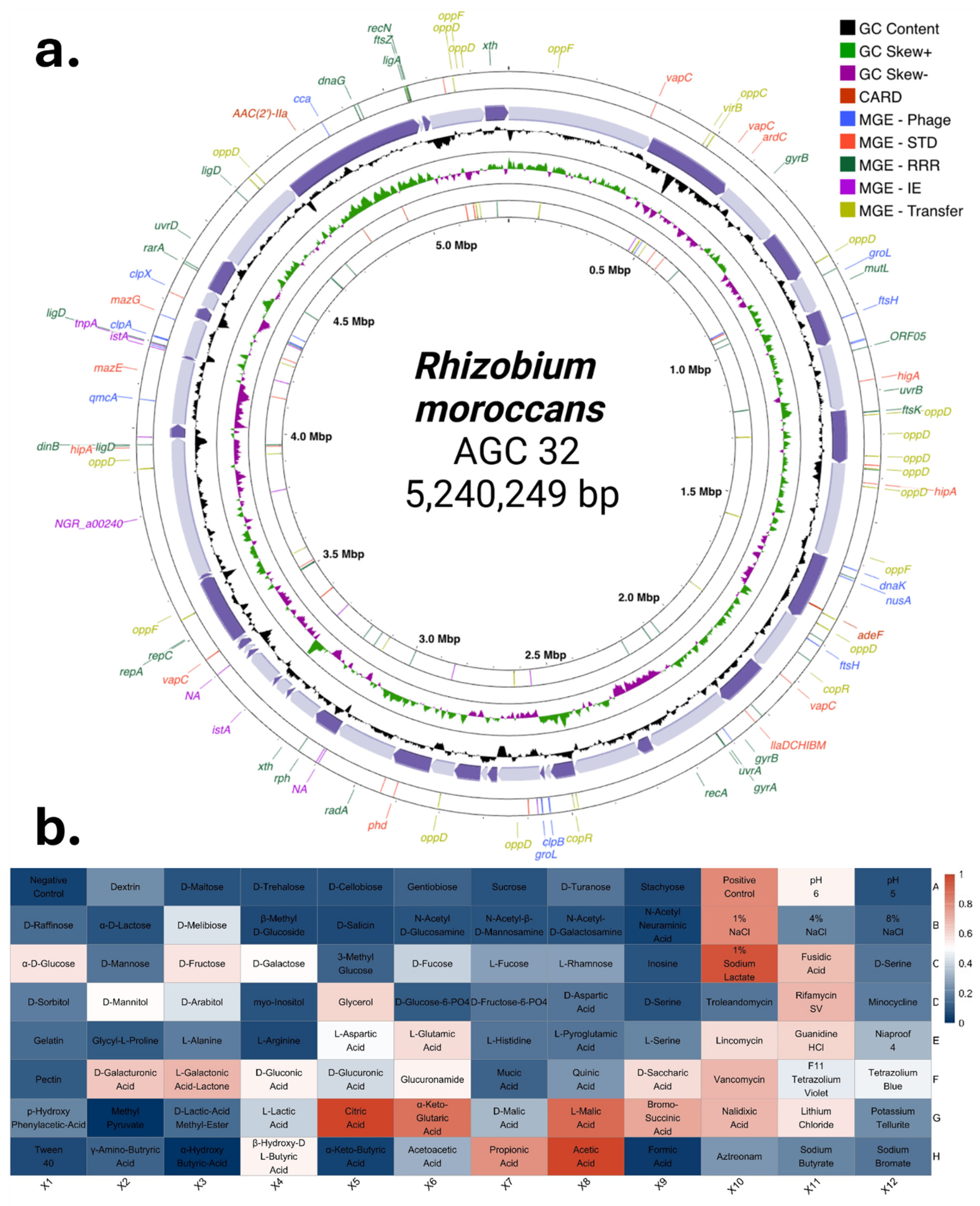 Microorganisms 14 00866 g006