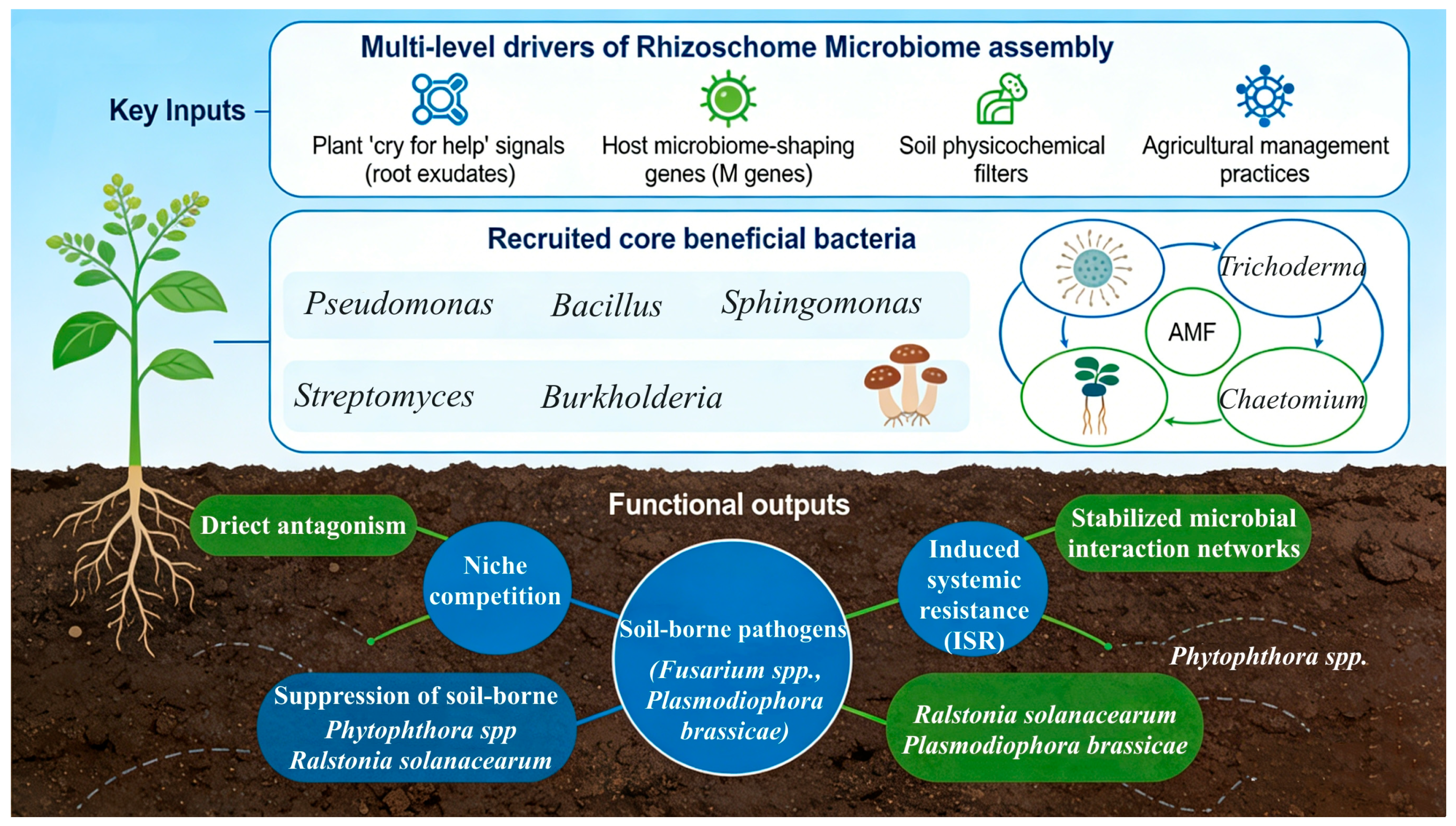 Microorganisms 14 00900 g004 Microorganisms 14 00900 g004