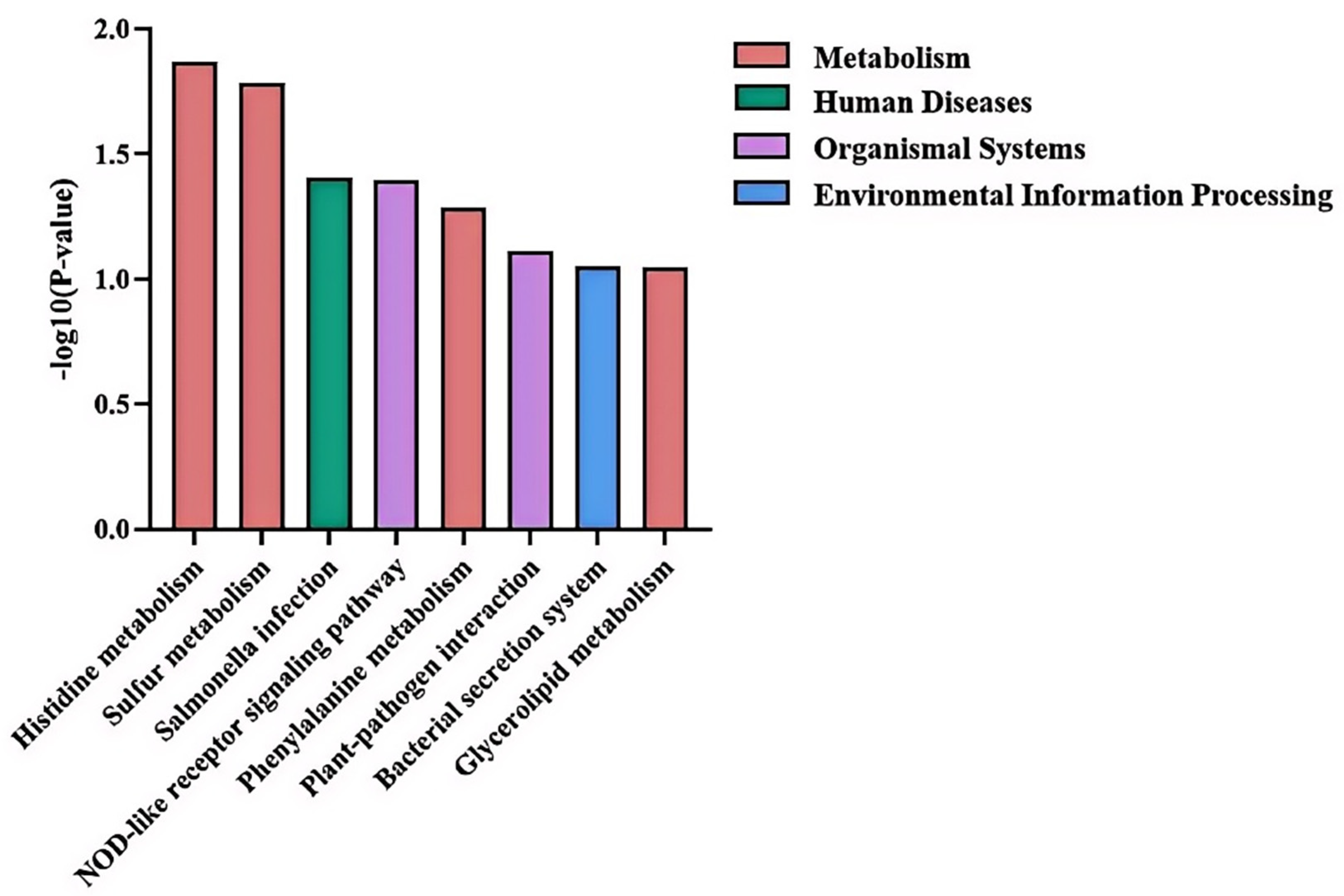 Microorganisms 14 00957 g010