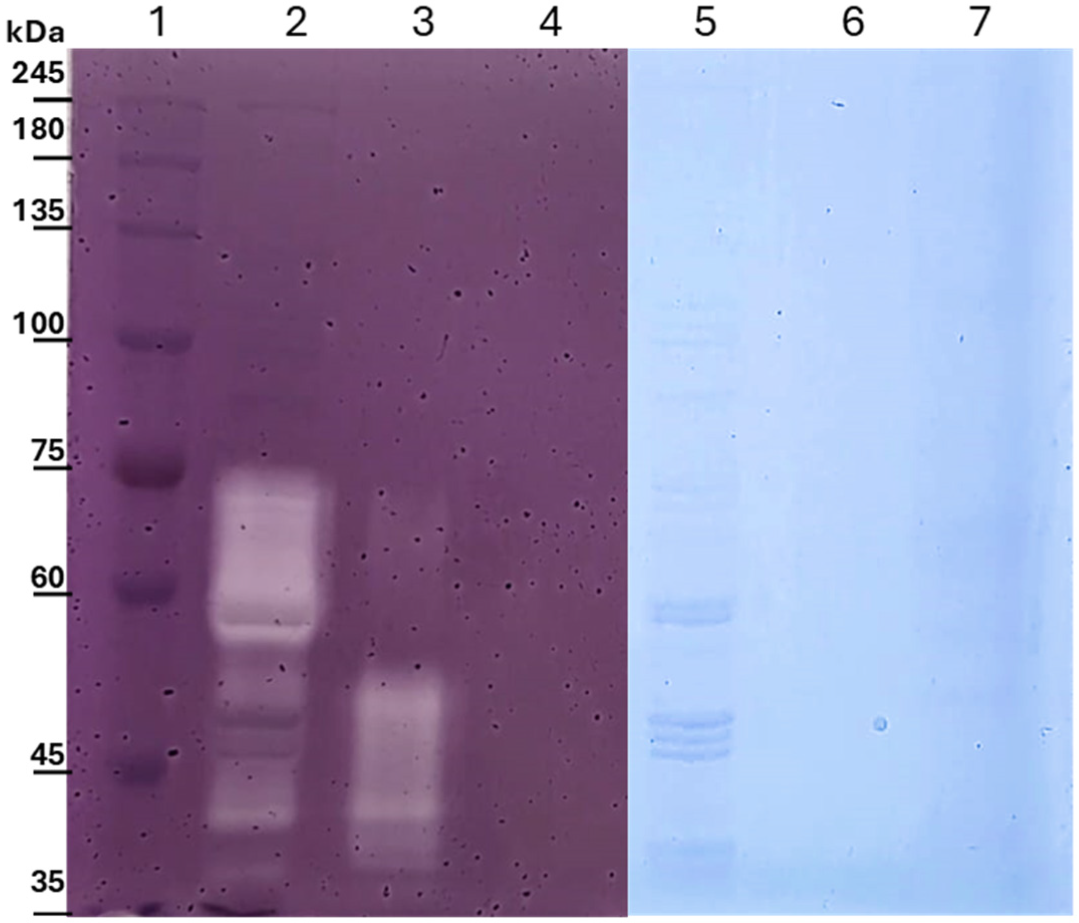 Microorganisms 14 01061 g003