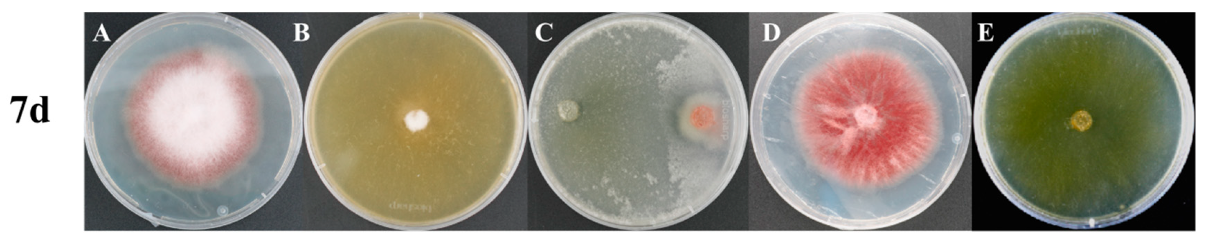 Microorganisms 14 01068 g001 Microorganisms 14 01068 g001