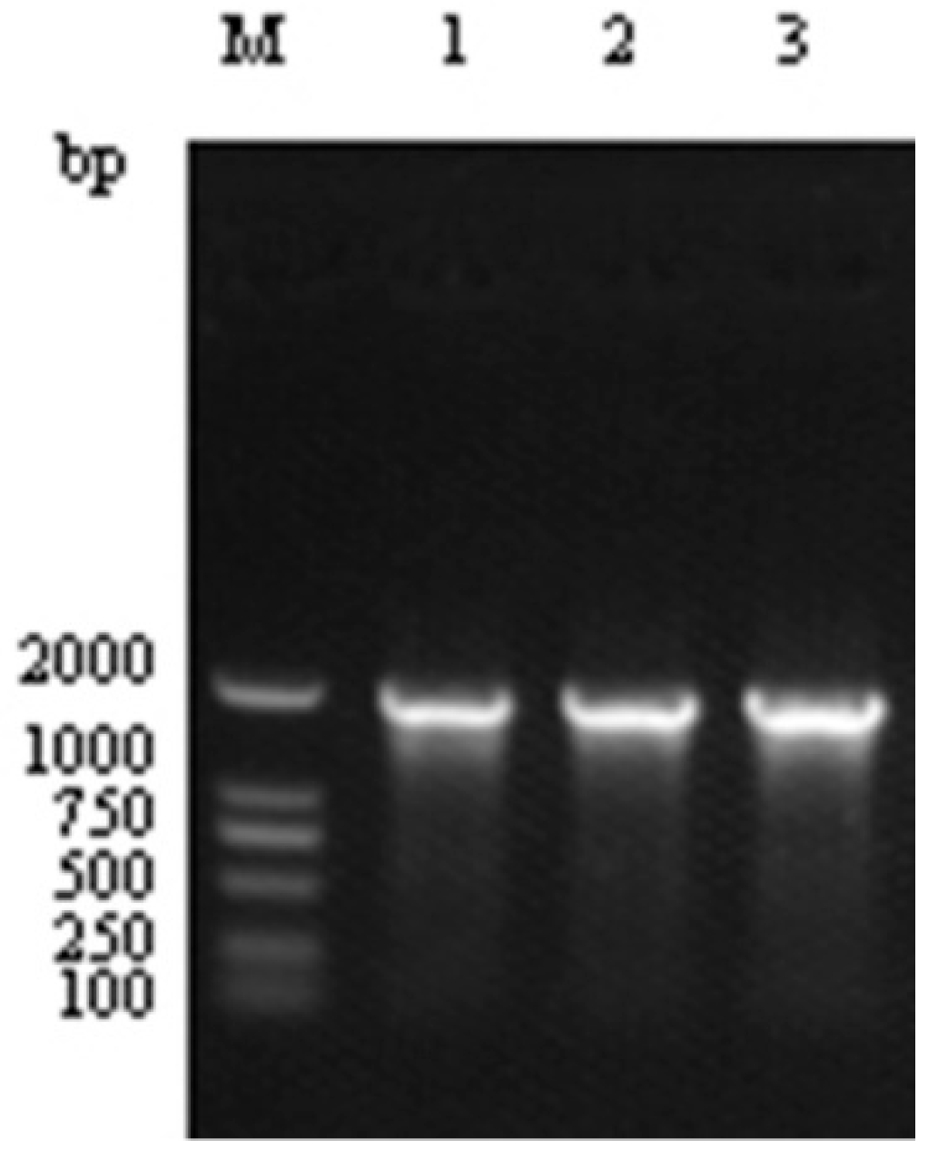 Microorganisms 14 01233 g002