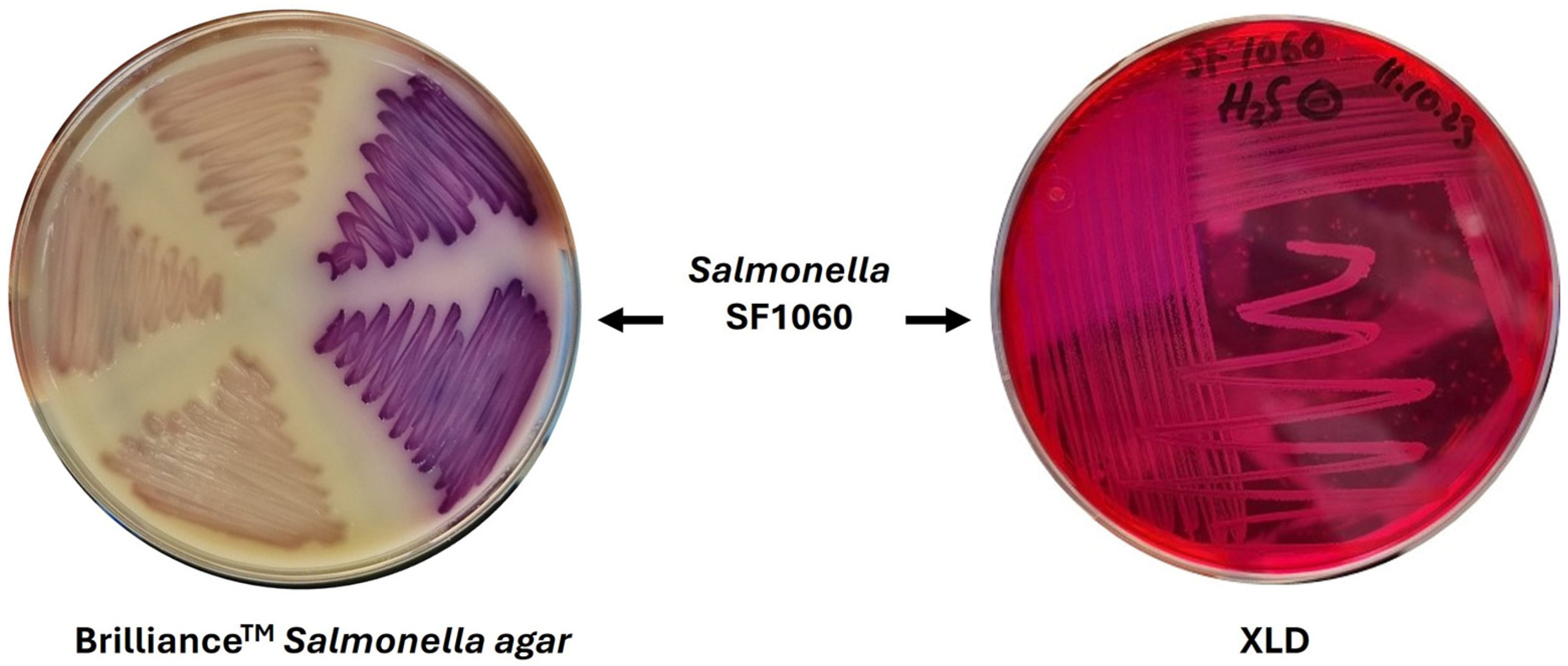 Microorganisms 14 01284 g001 Microorganisms 14 01284 g001
