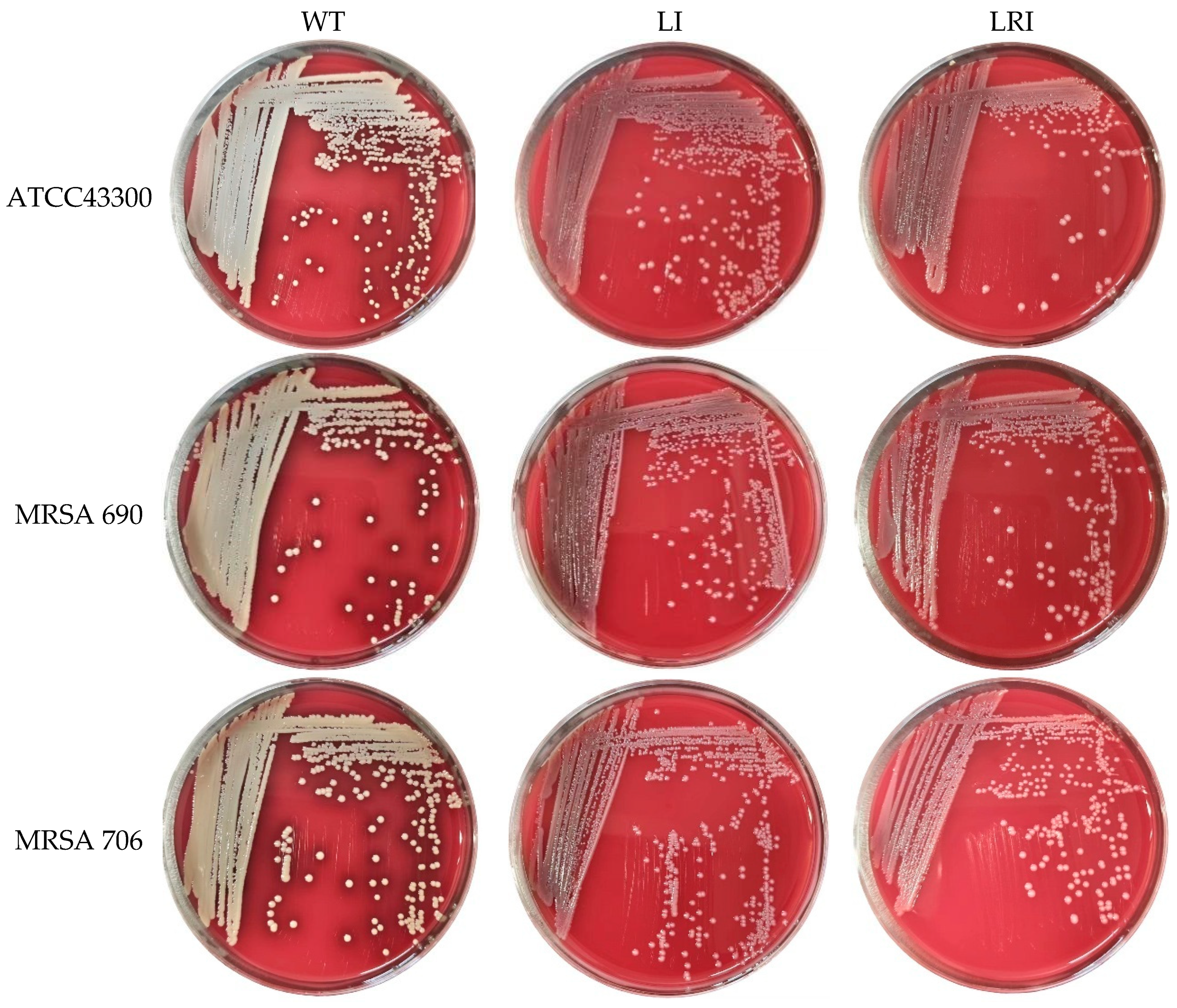 Microorganisms 14 01310 g005 Microorganisms 14 01310 g005