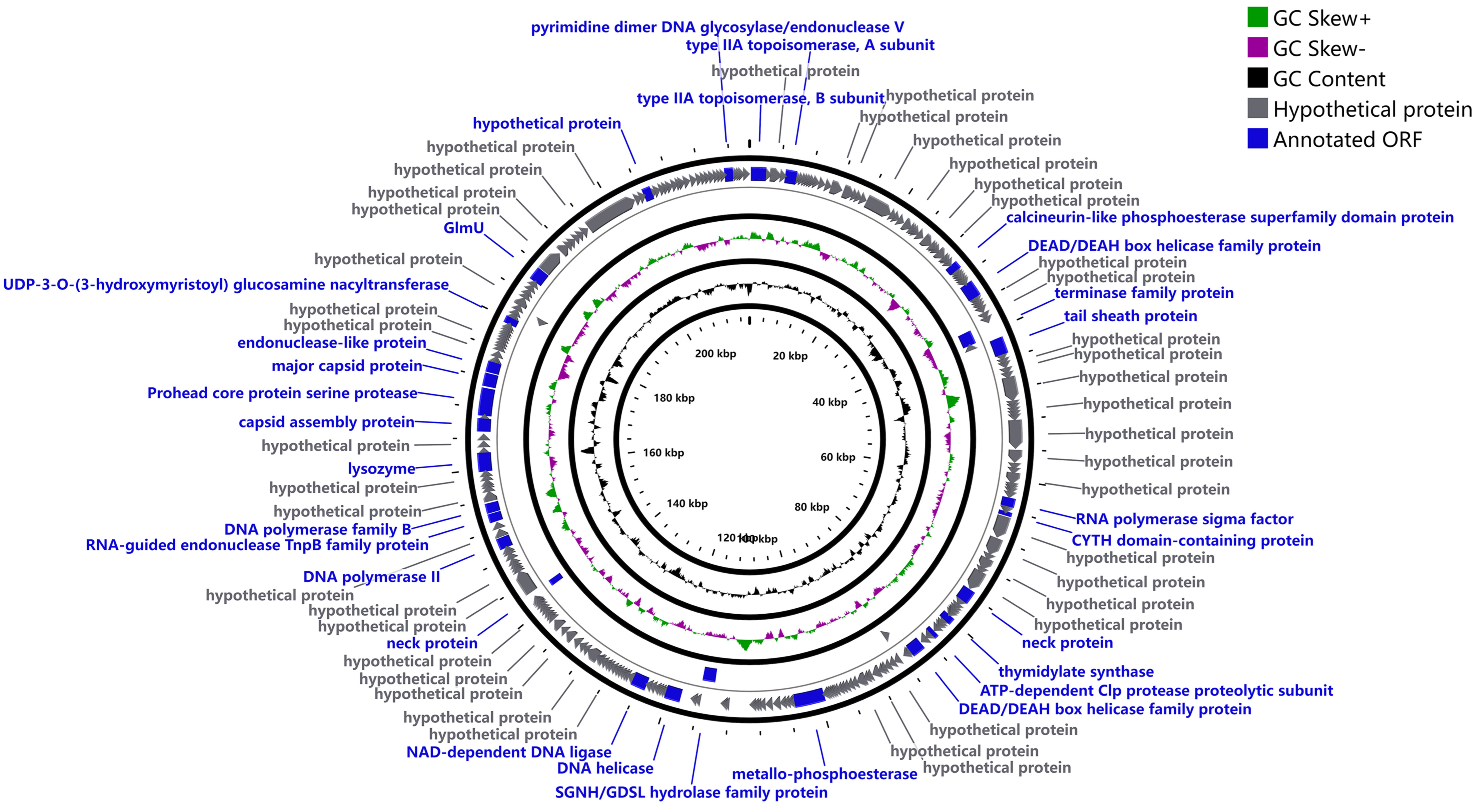 Microorganisms 14 01423 g003