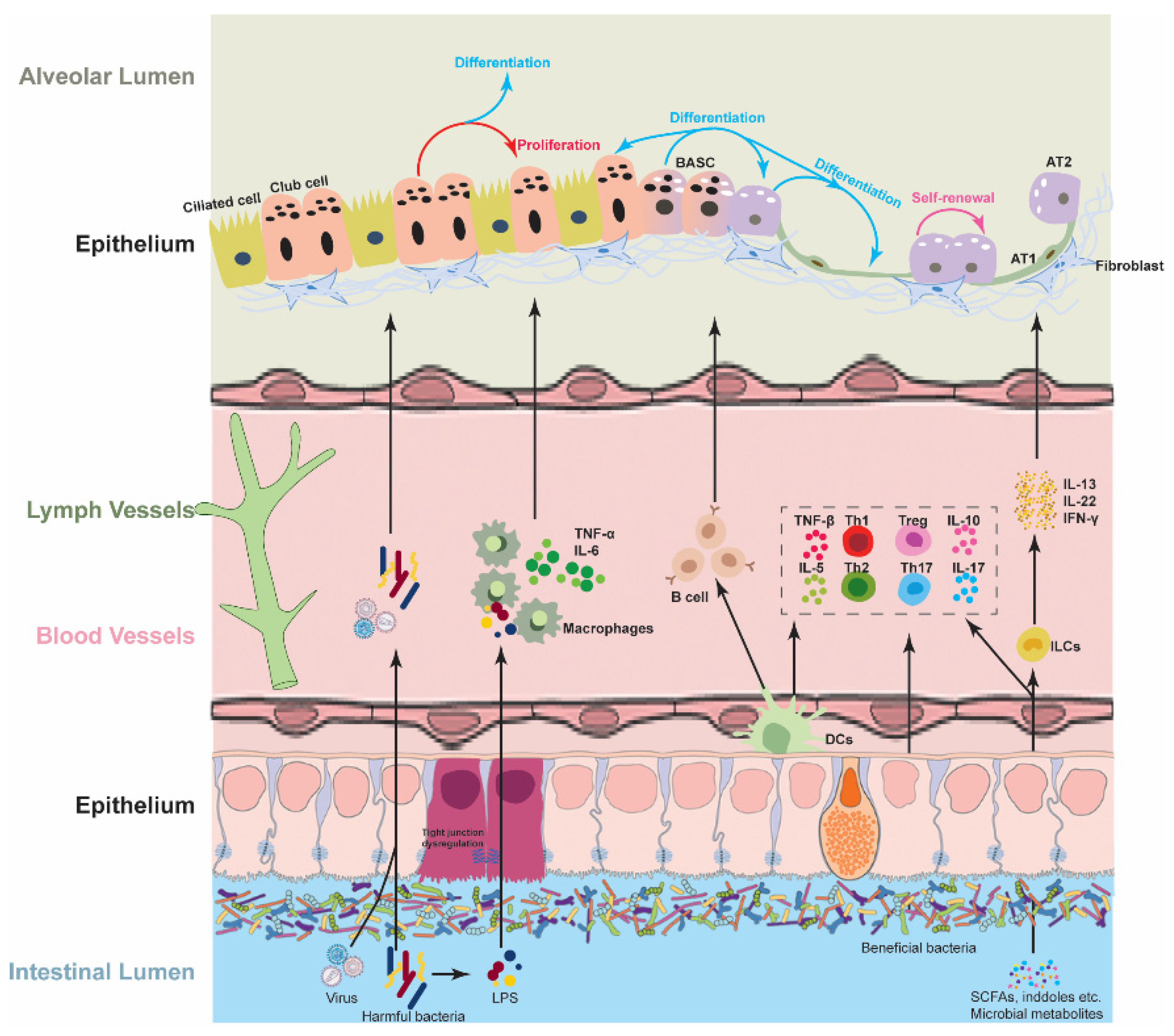 Microorganisms 14 01572 g002 Microorganisms 14 01572 g002