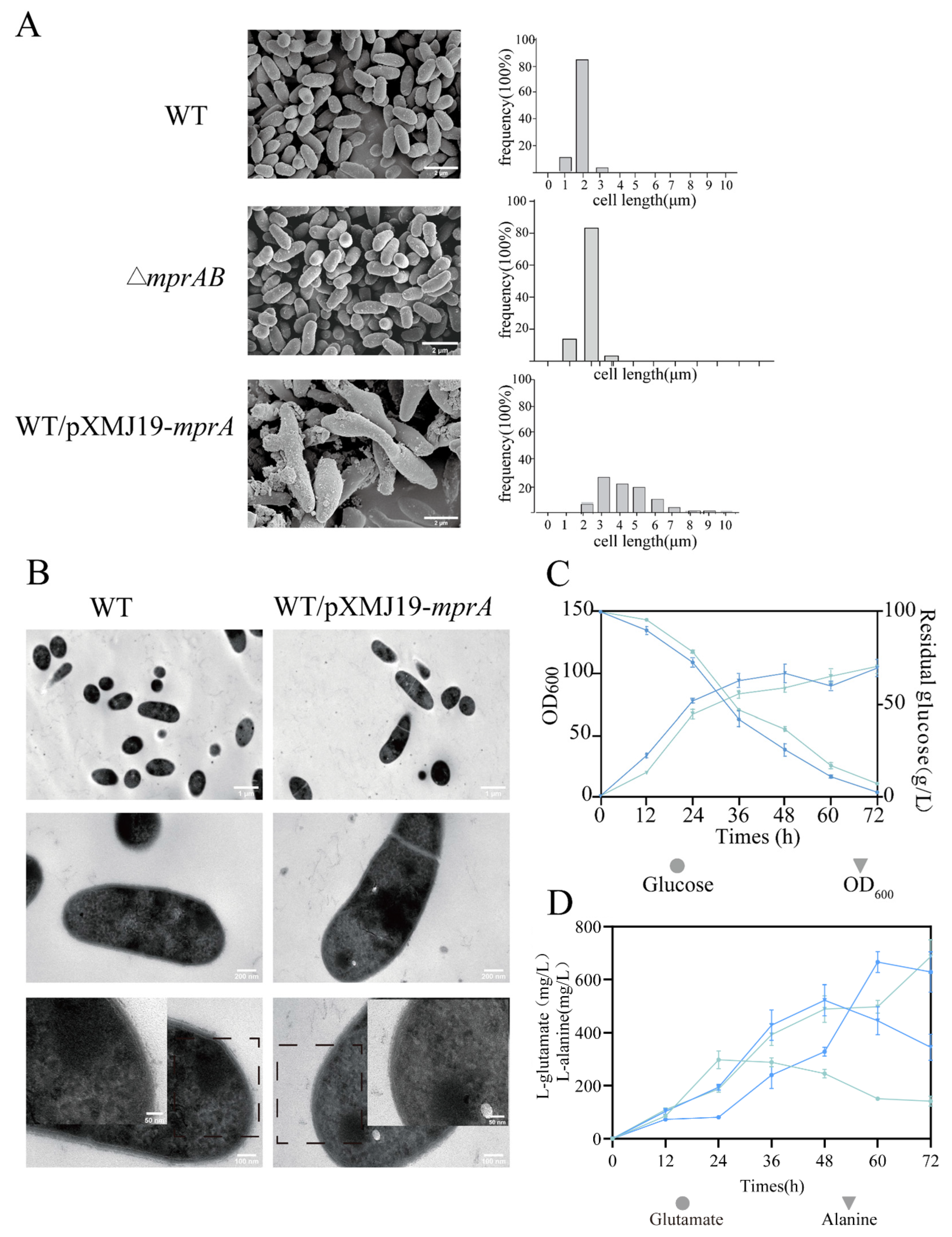 Microorganisms 14 01576 g005