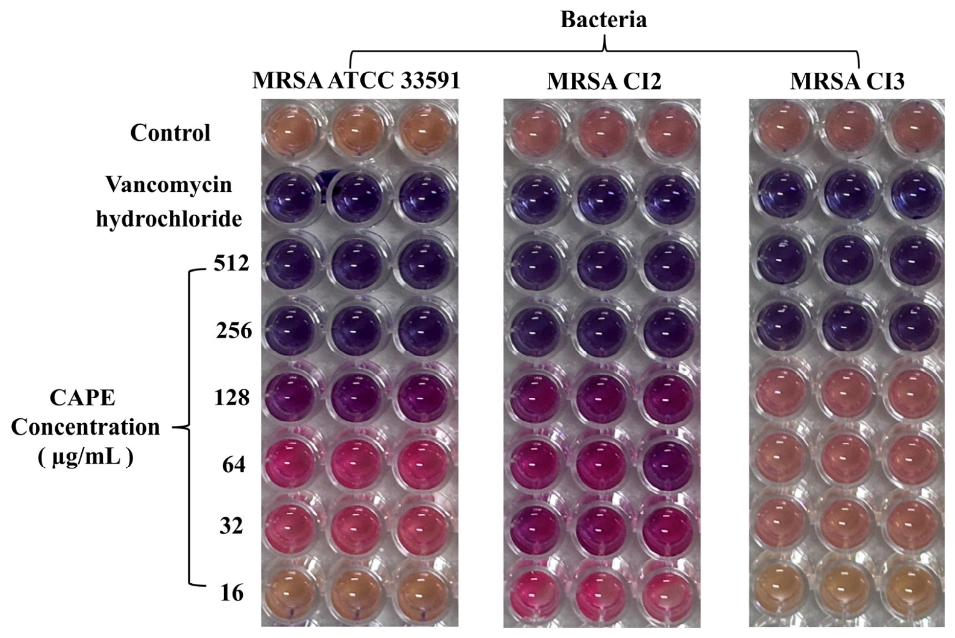 Caffeic Acid Phenethyl Ester Suppresses Adhesion to Mediate Its