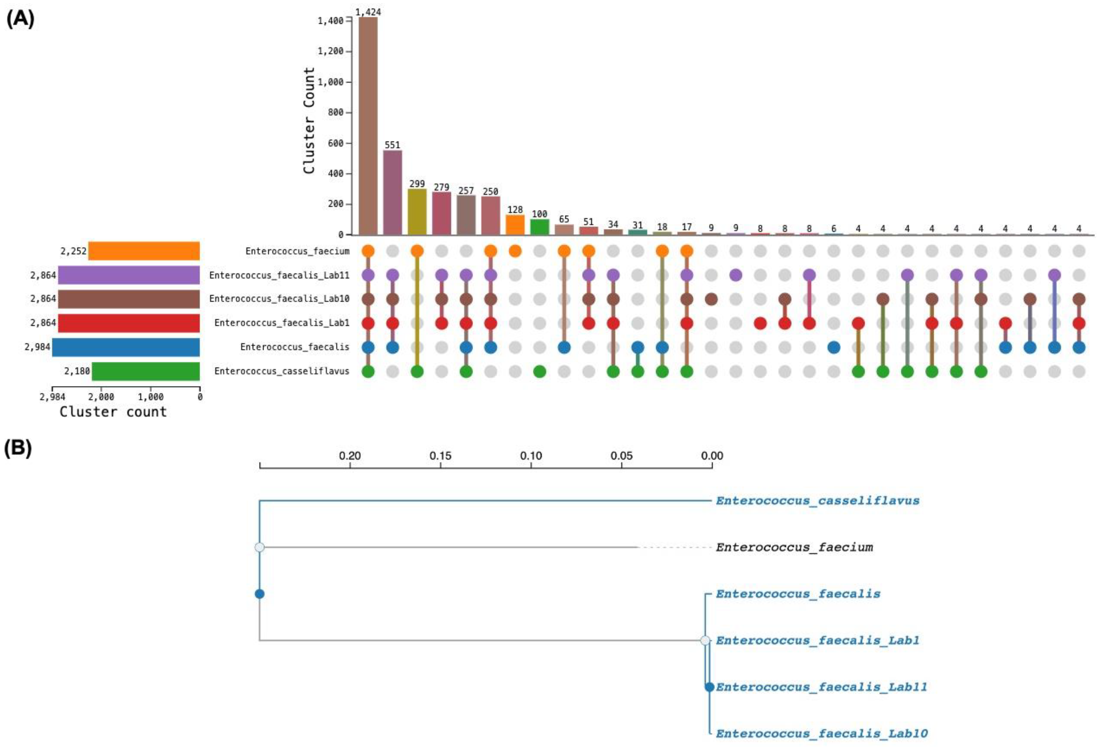 Microorganisms 14 01653 g001 Microorganisms 14 01653 g001