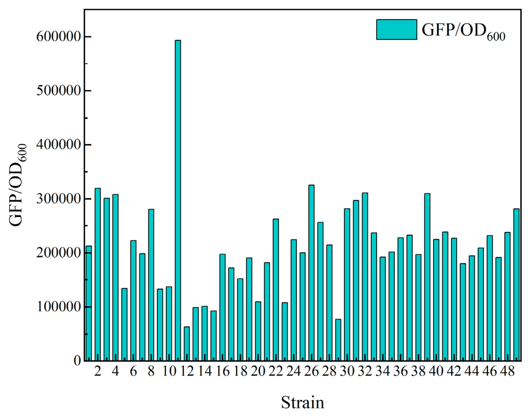 Microorganisms 14 01708 g011 Microorganisms 14 01708 g011