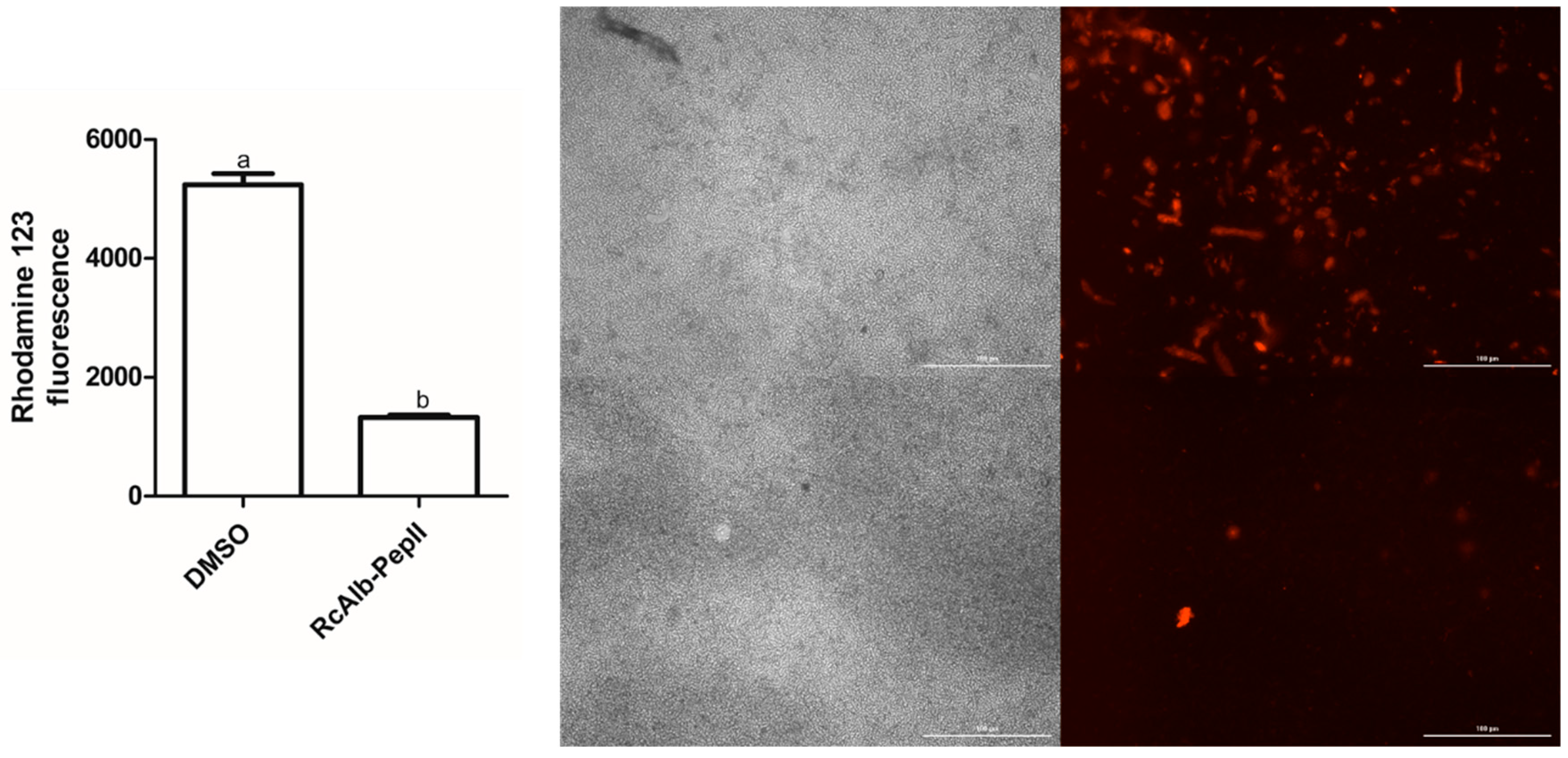 Microorganisms 14 01800 g004 Microorganisms 14 01800 g004