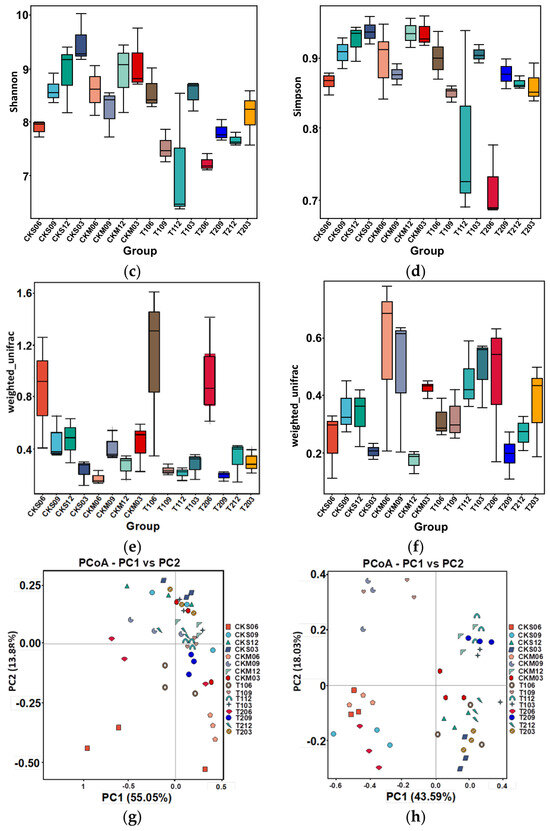 PGPR-Treated Spent Mushroom Substrate Enhances Lignocellulose