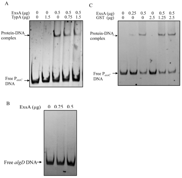 Microorganisms 14 01942 g002 Microorganisms 14 01942 g002