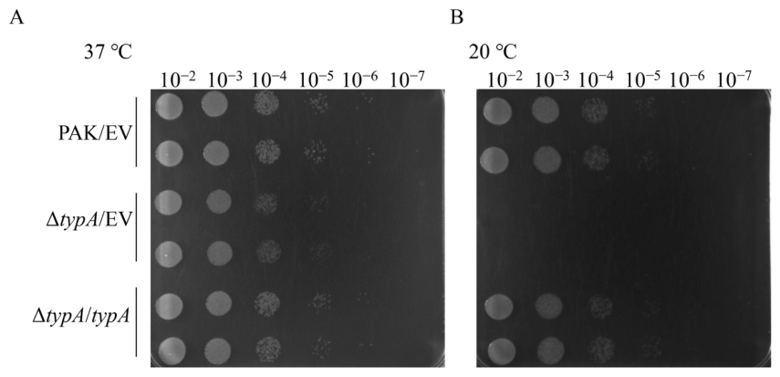 Microorganisms 14 01942 g005 Microorganisms 14 01942 g005