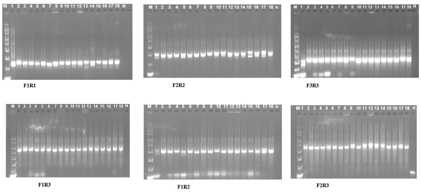 Microorganisms 14 01945 g001 Microorganisms 14 01945 g001