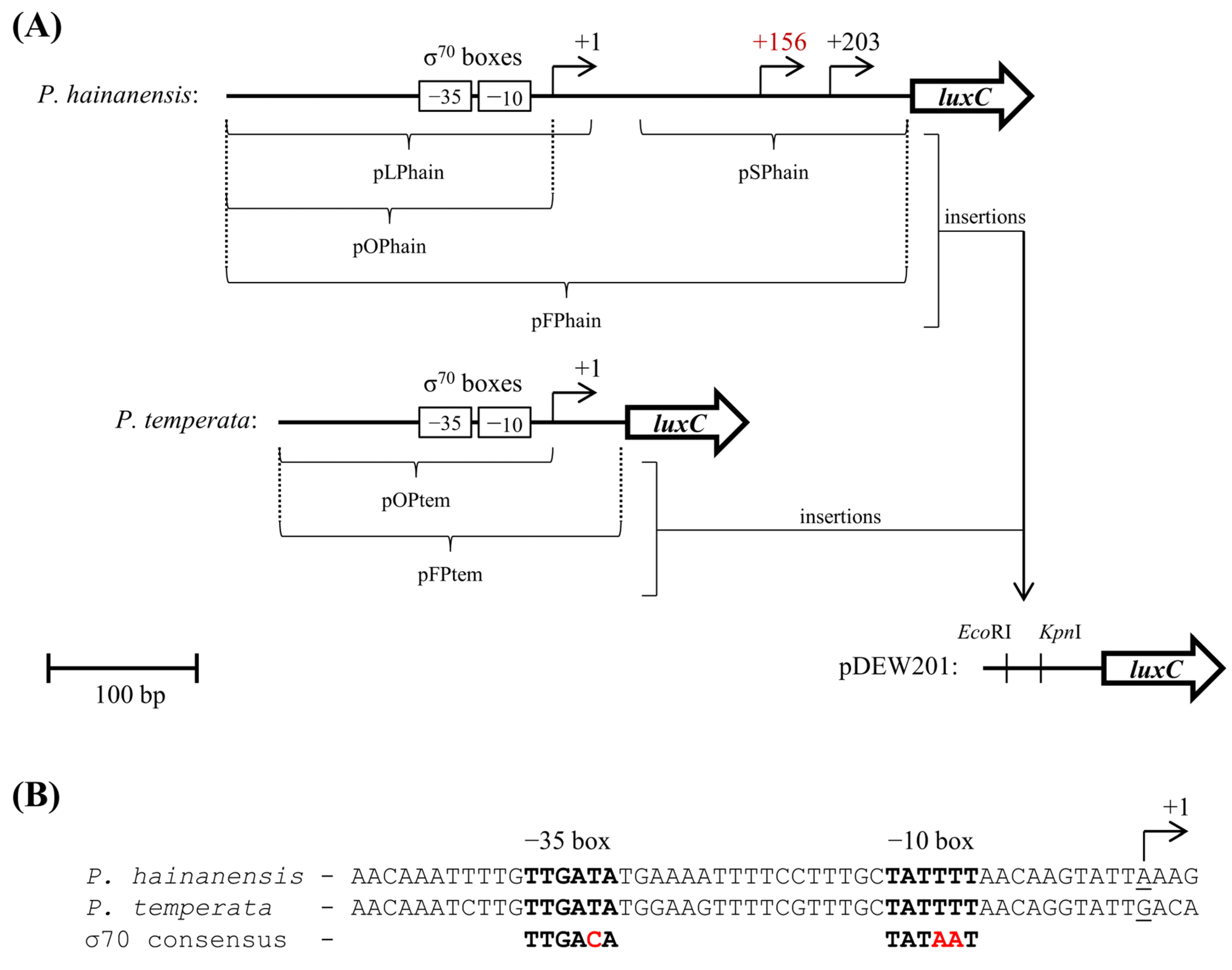Microorganisms 14 02076 g003