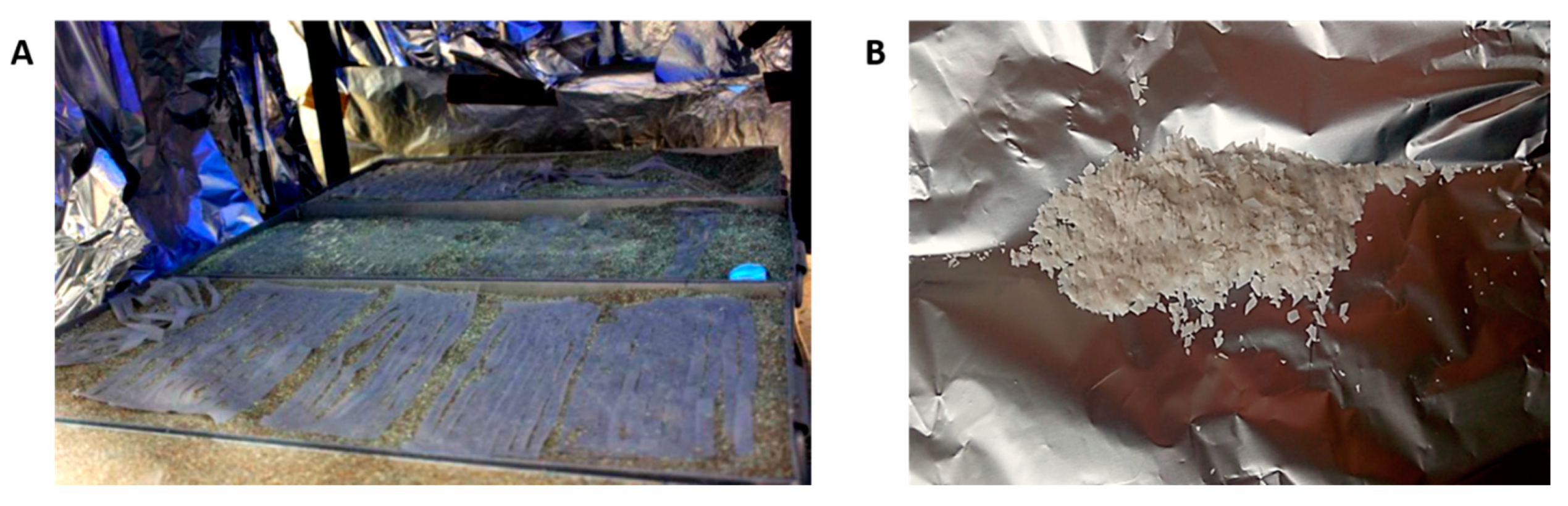 Microplastics 01 00006 g001
