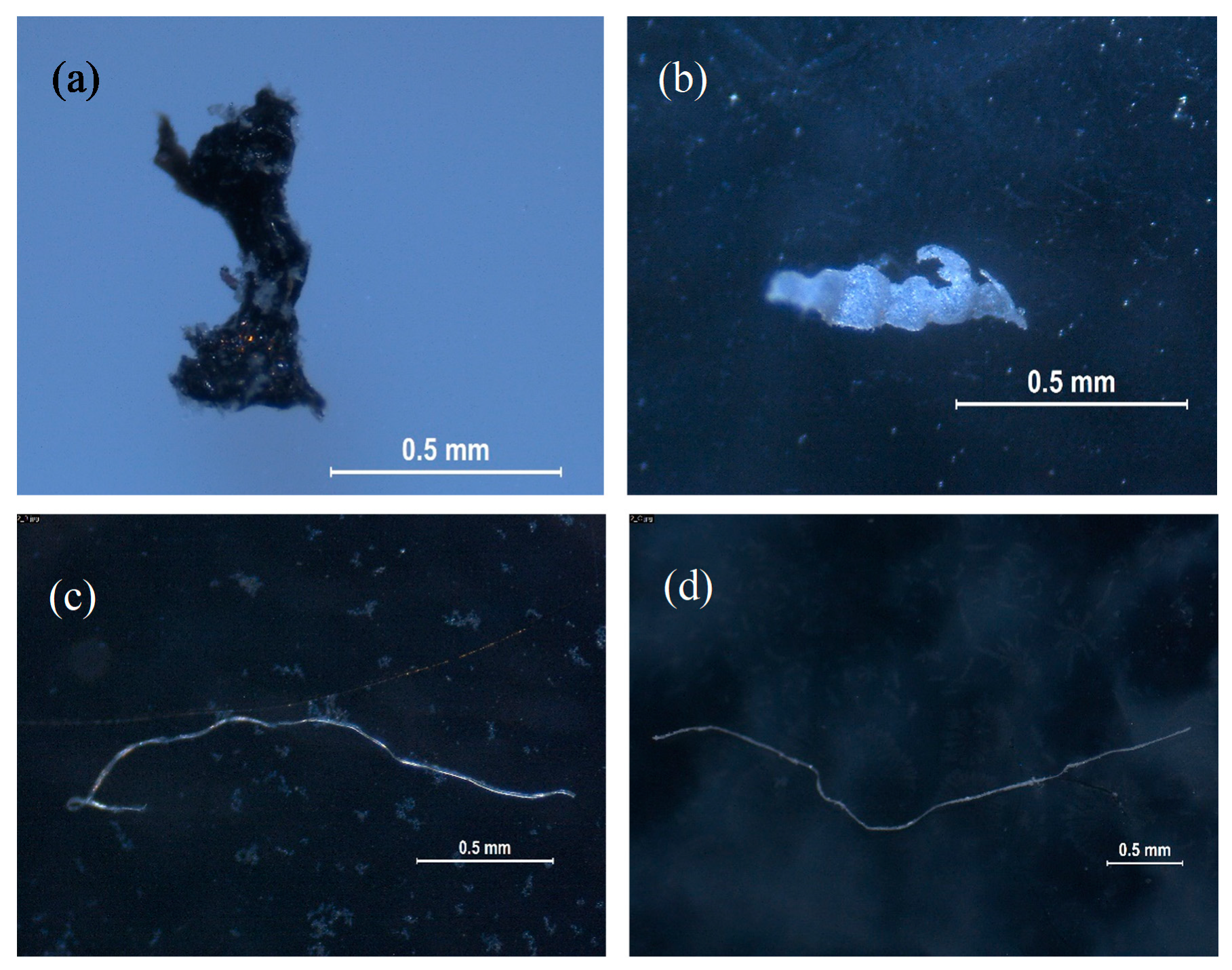 Microplastics 01 00008 g002