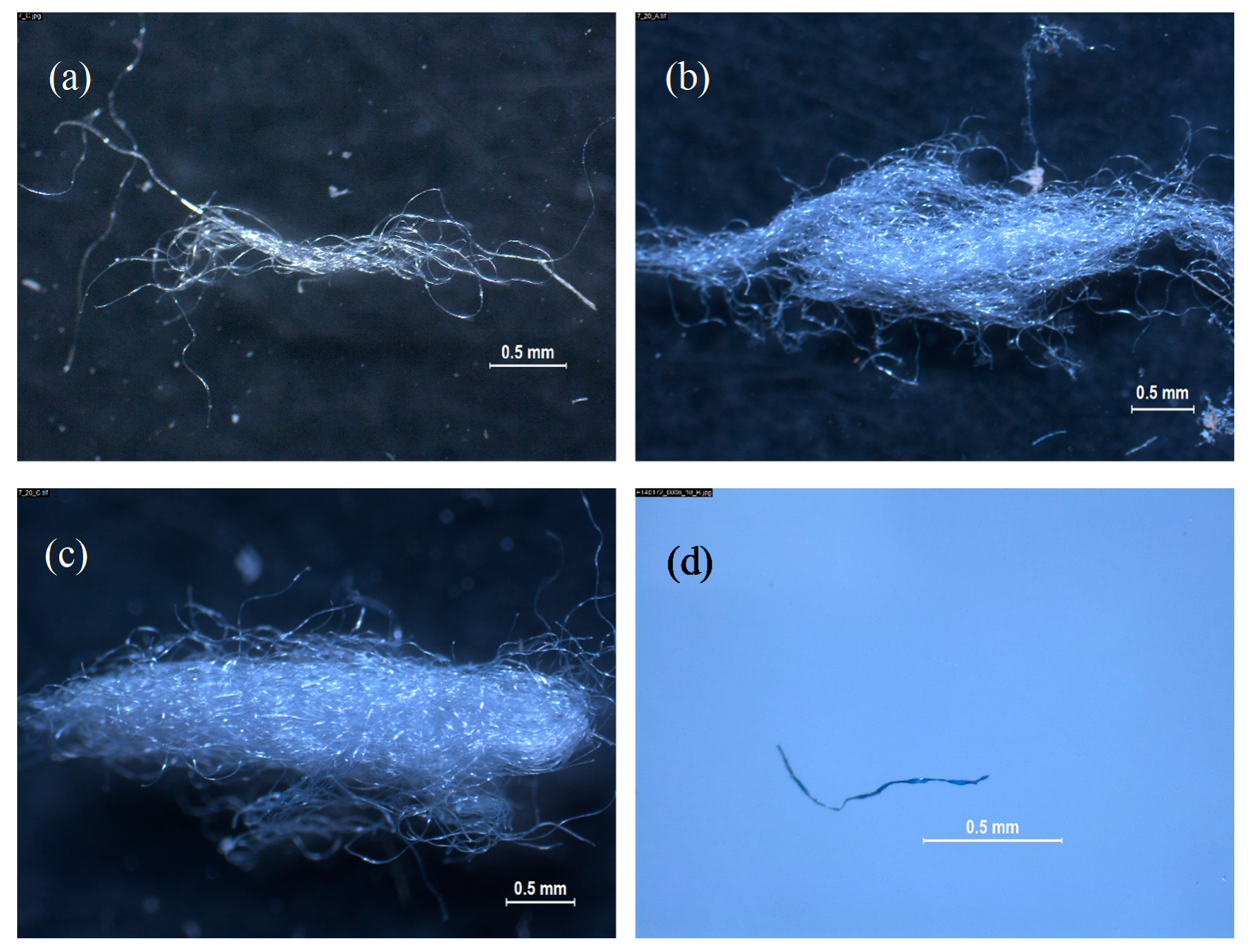Microplastics 01 00008 g005