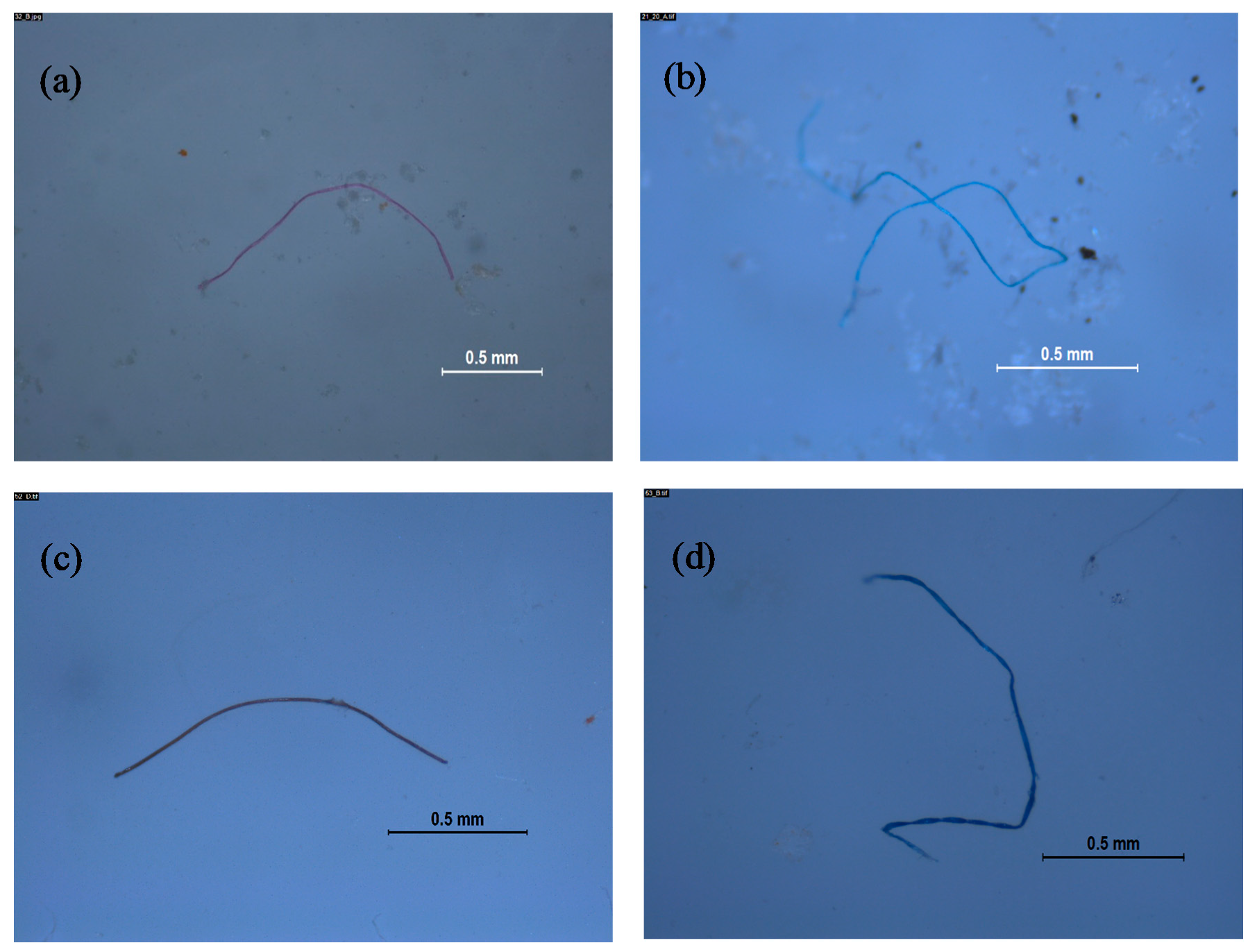 Microplastics 01 00008 g009