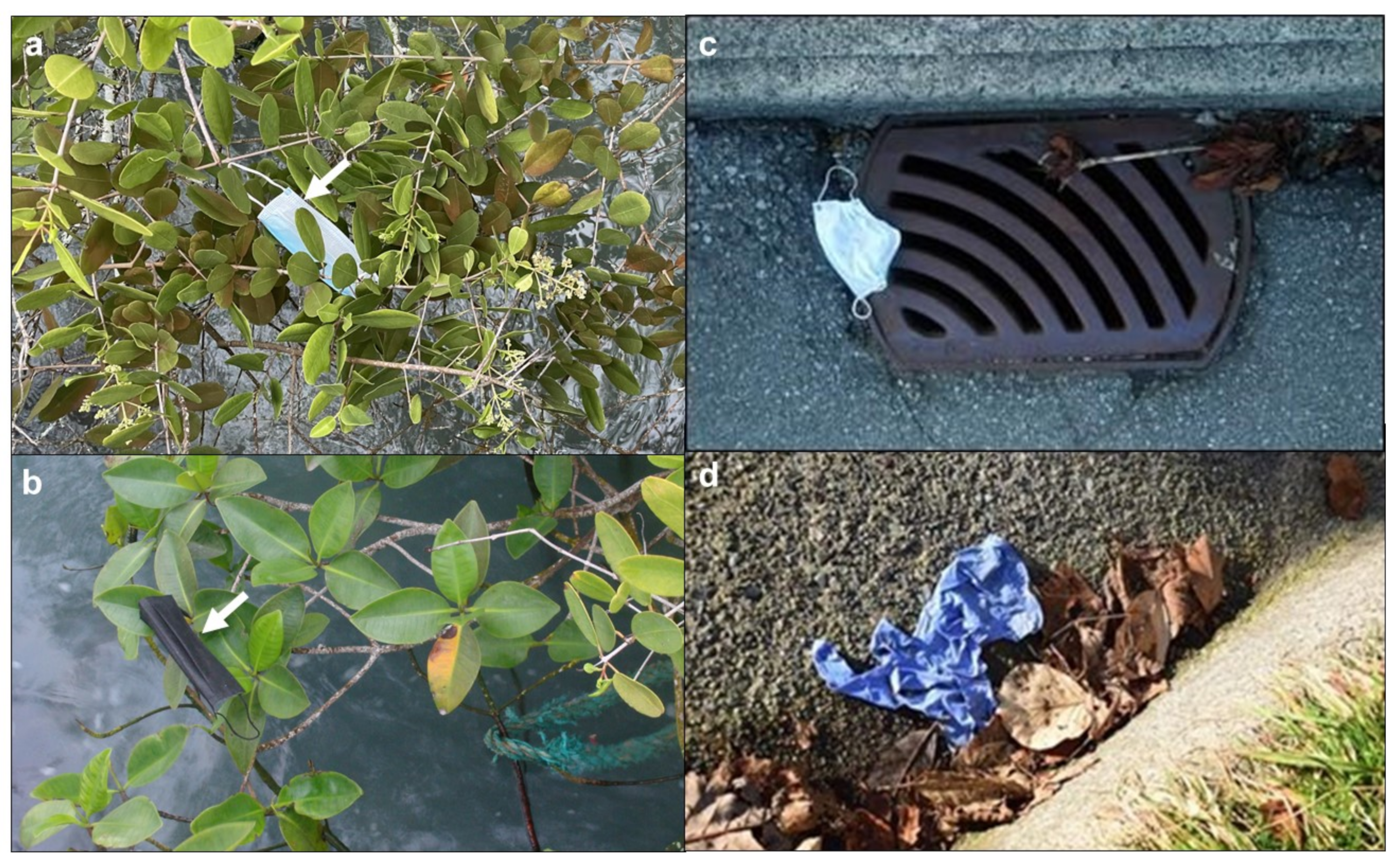 Microplastics 01 00010 g001