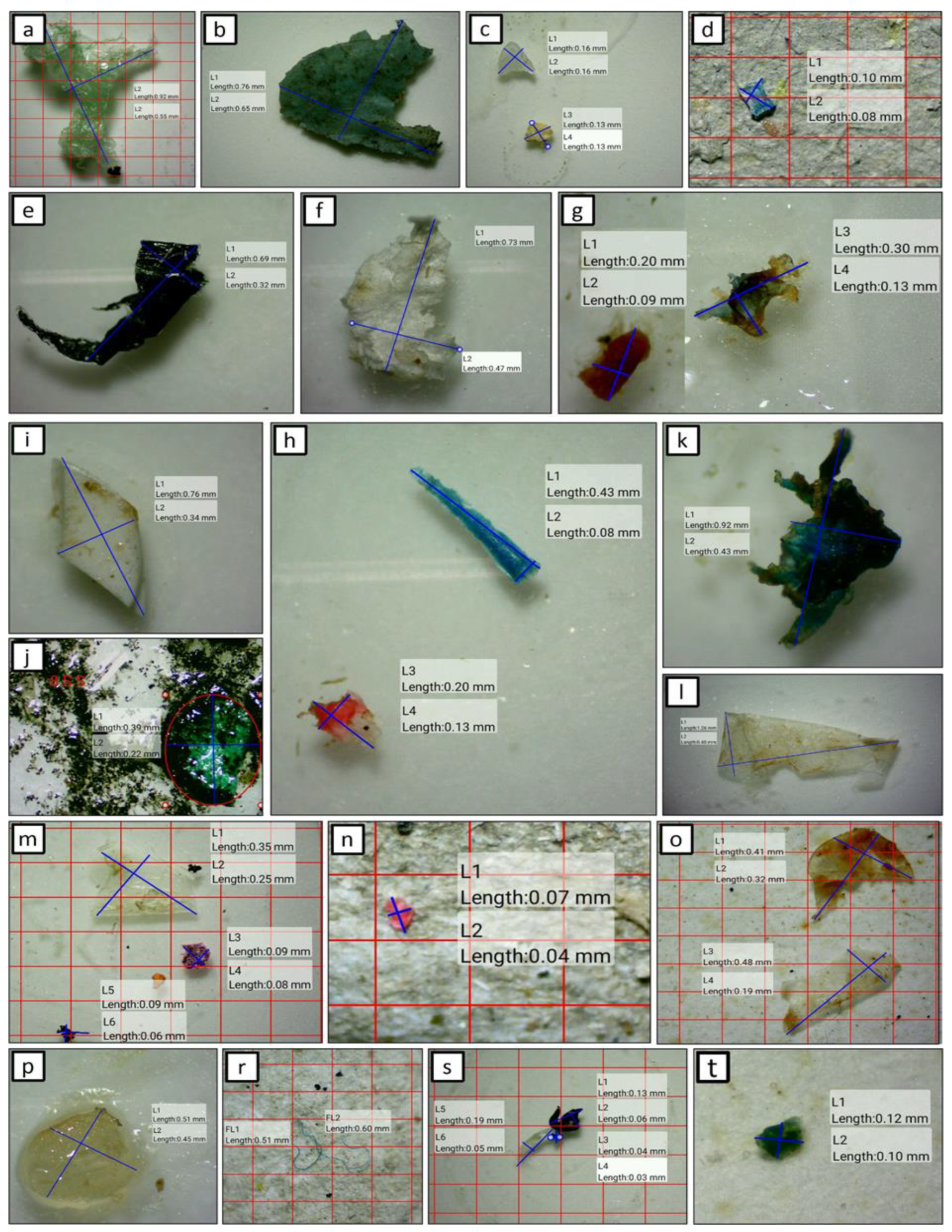 Microplastics 01 00011 g005