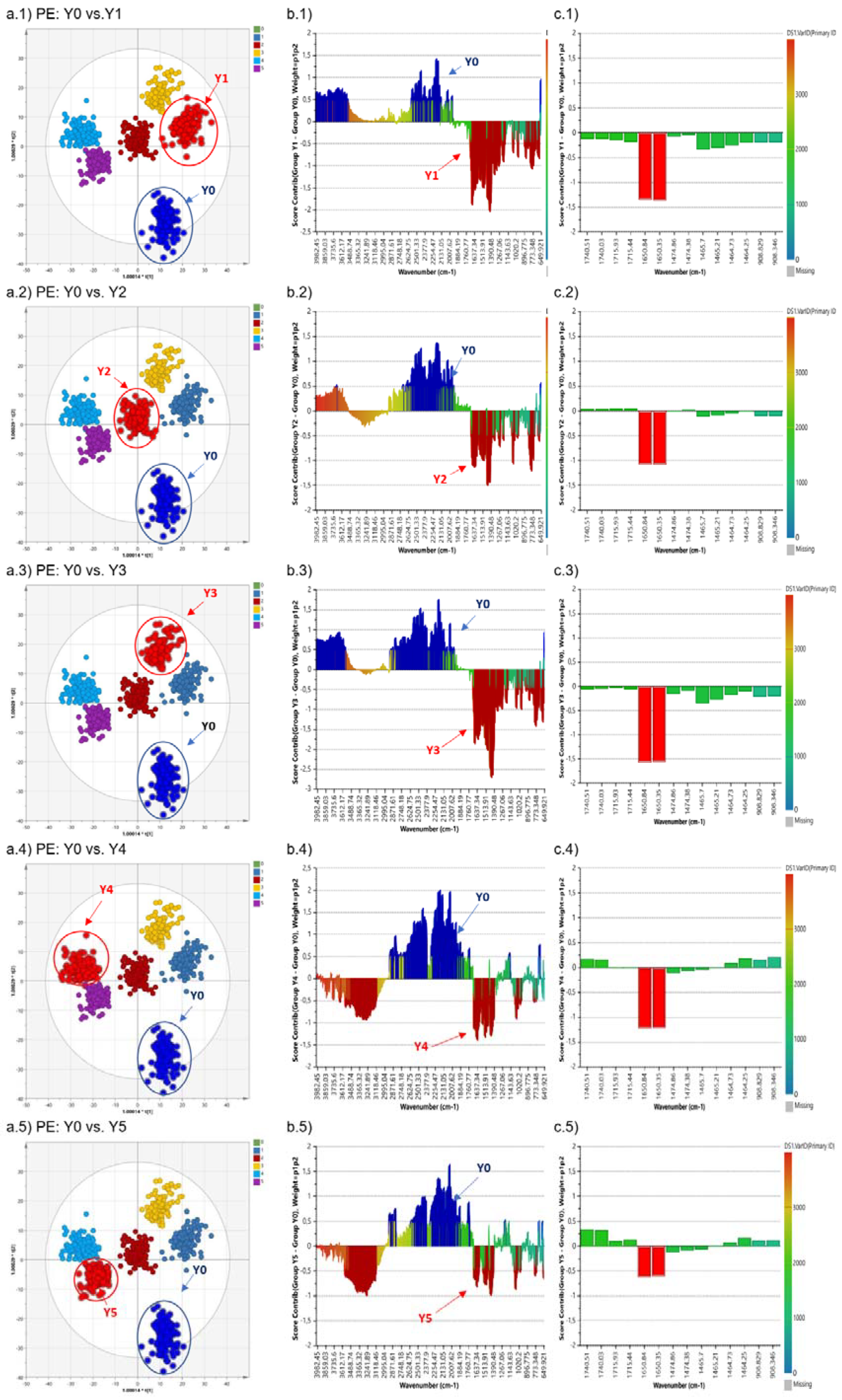 Microplastics 01 00013 g003