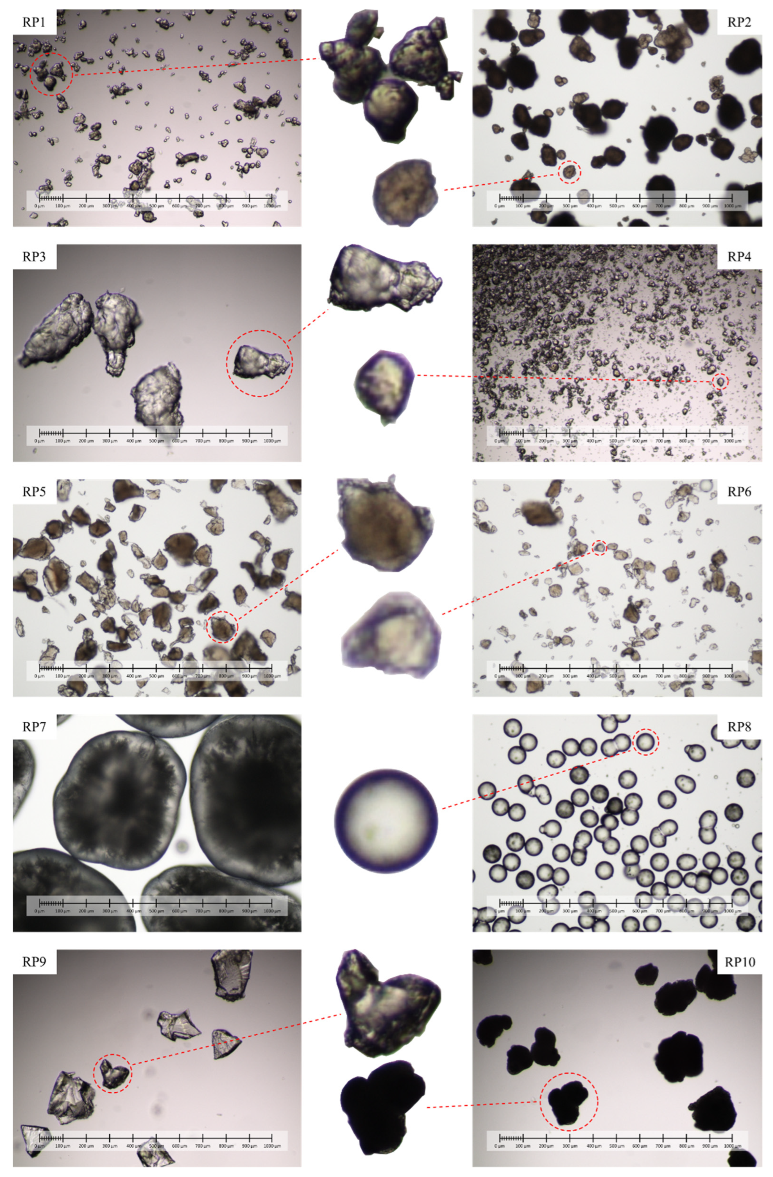 Microplastics 01 00015 g002 550