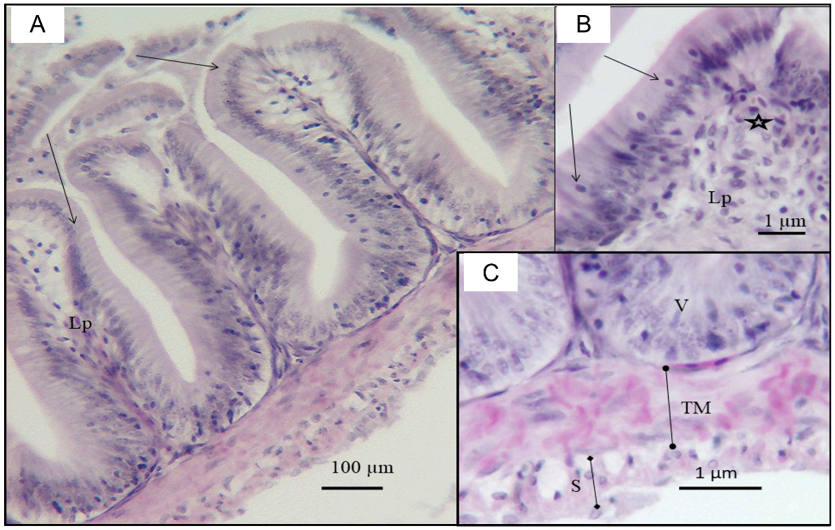 Microplastics 01 00017 g006