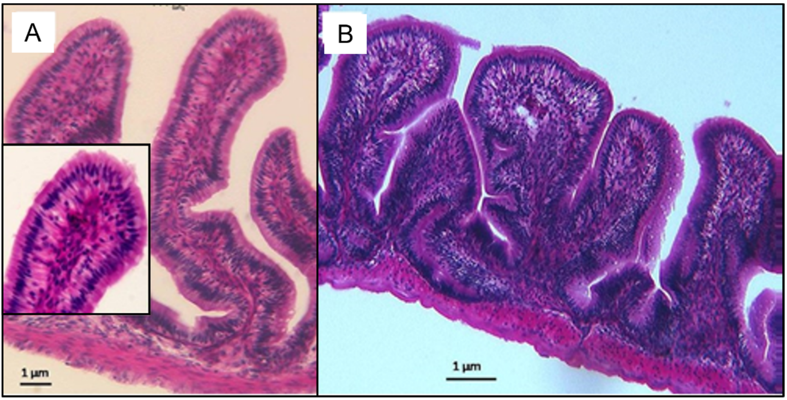 Microplastics 01 00017 g008