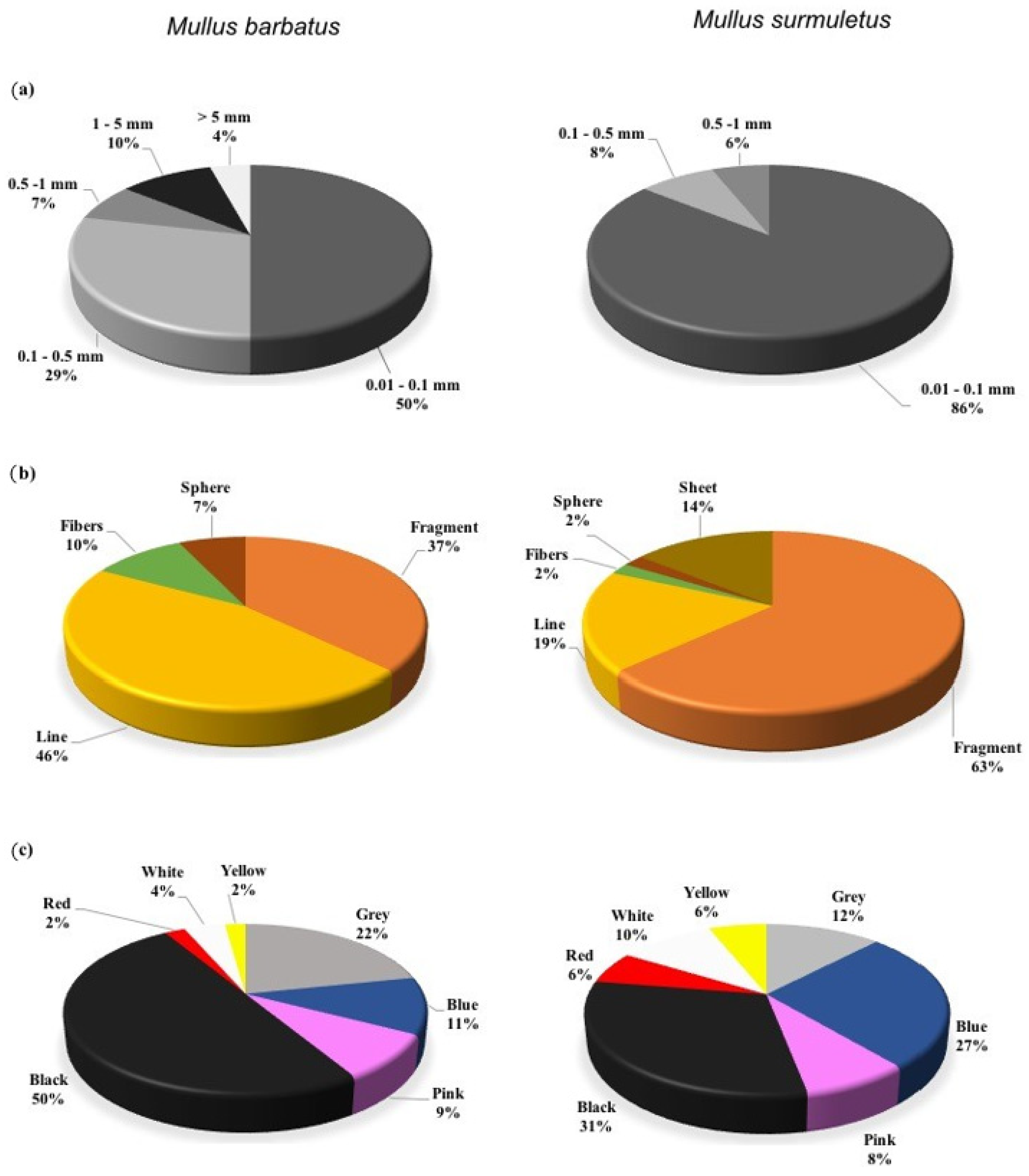 Microplastics 01 00021 g001