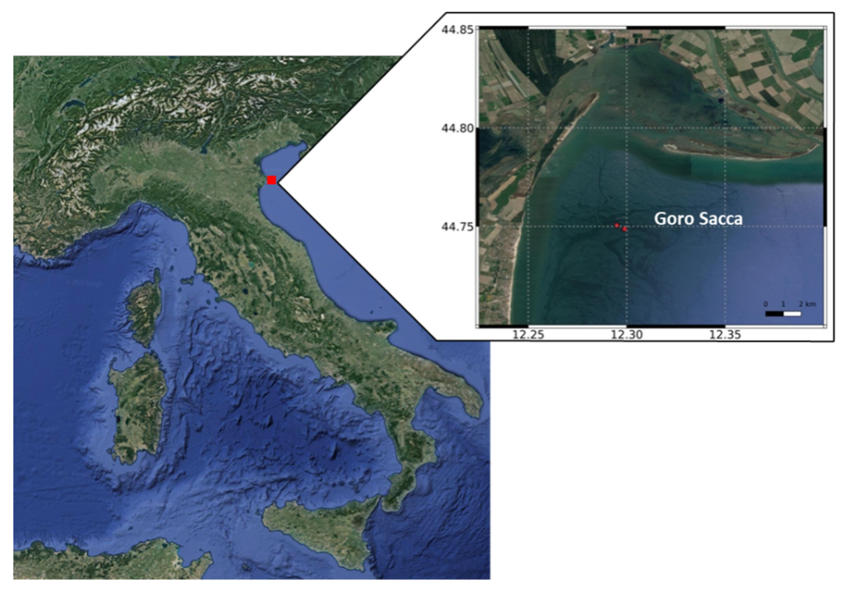 Microplastics 01 00022 g001