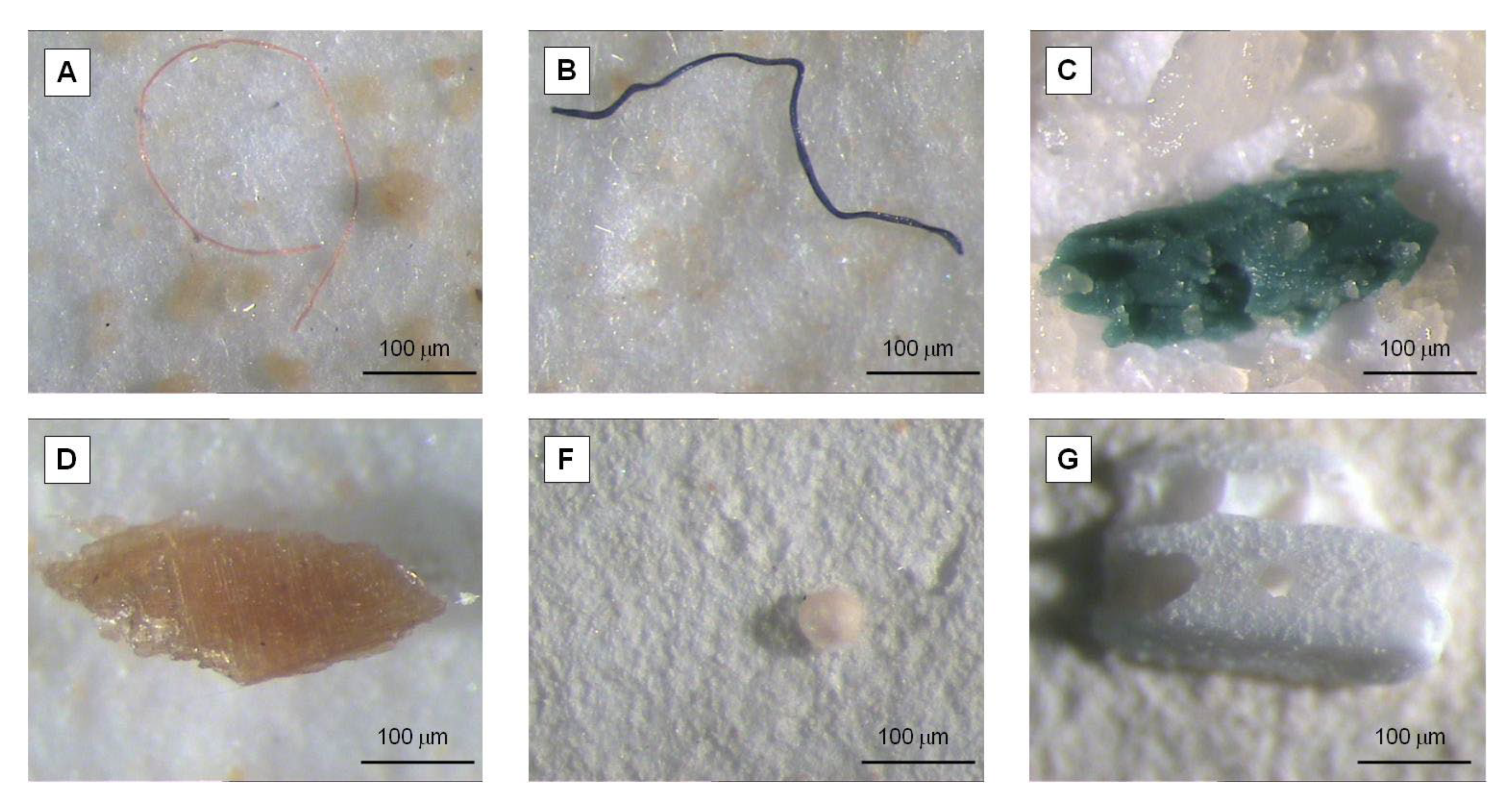 Microplastics 01 00022 g002