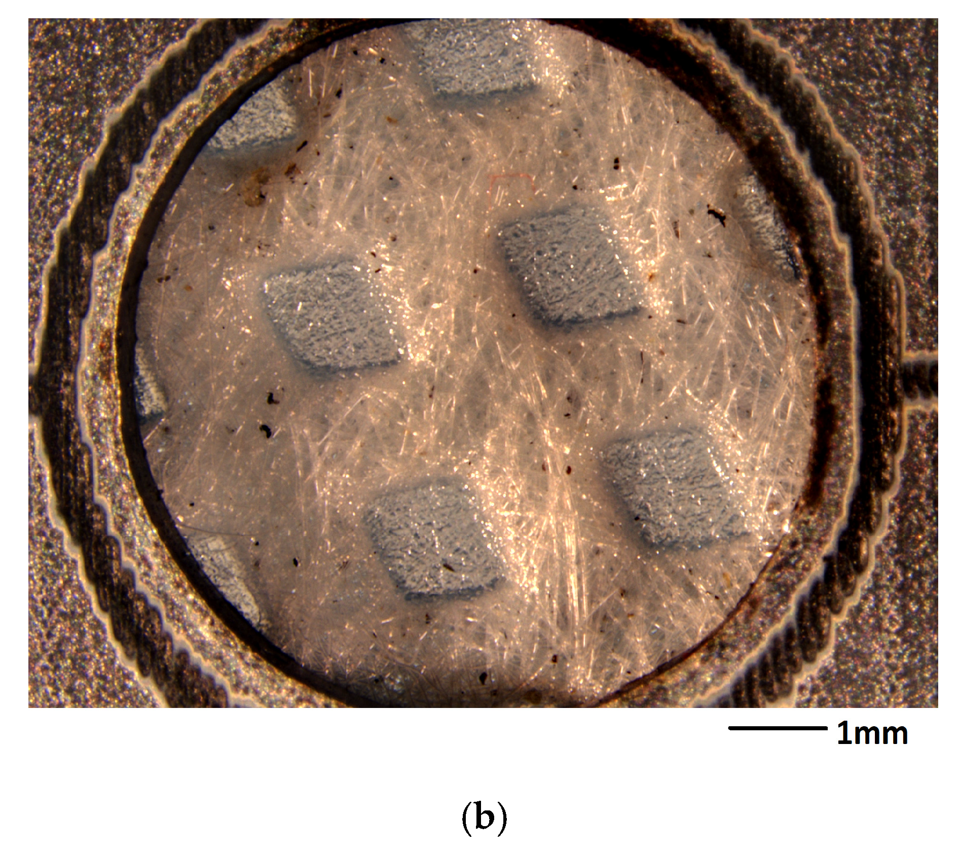 Microplastics 01 00024 g001b 550