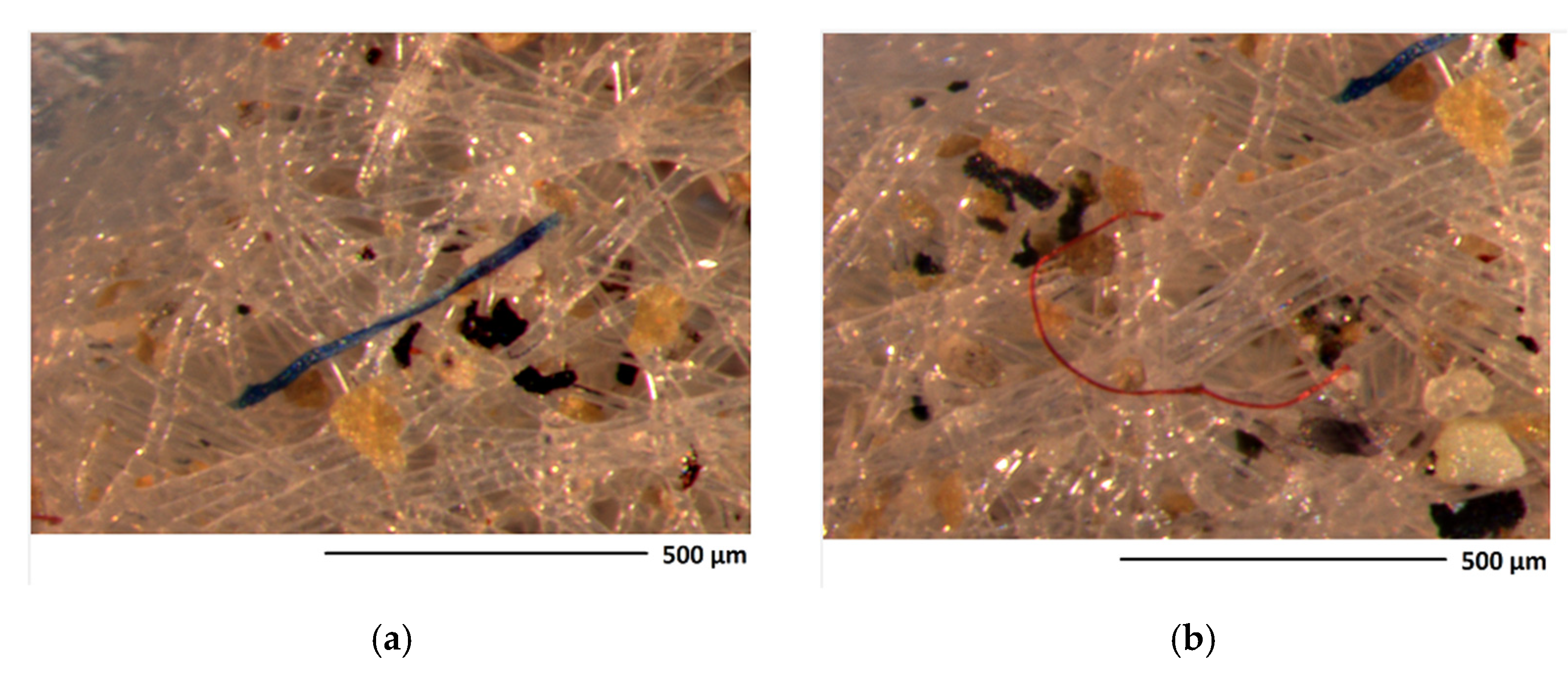 Microplastics 01 00024 g002 550