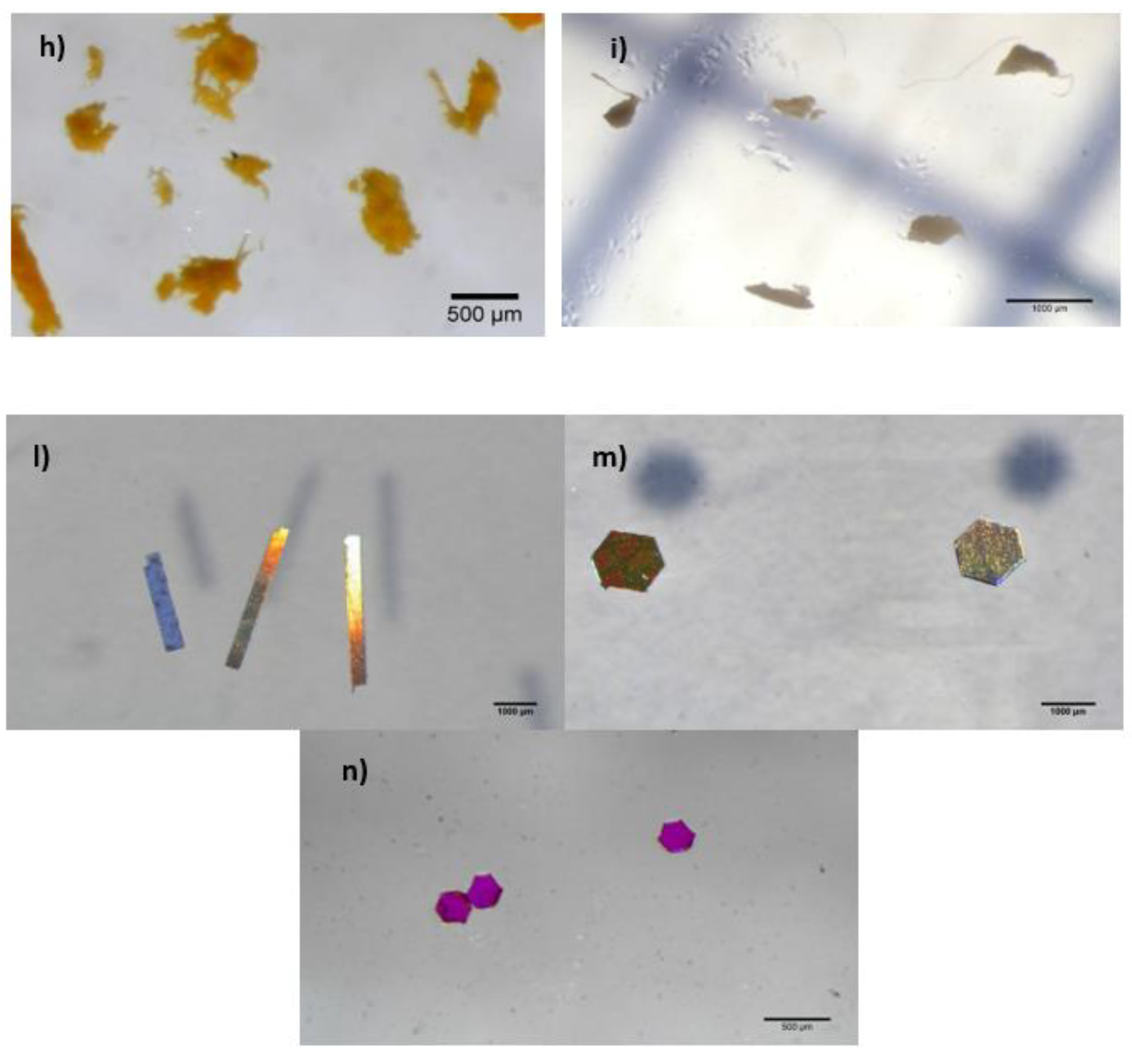 Microplastics 01 00032 g002b